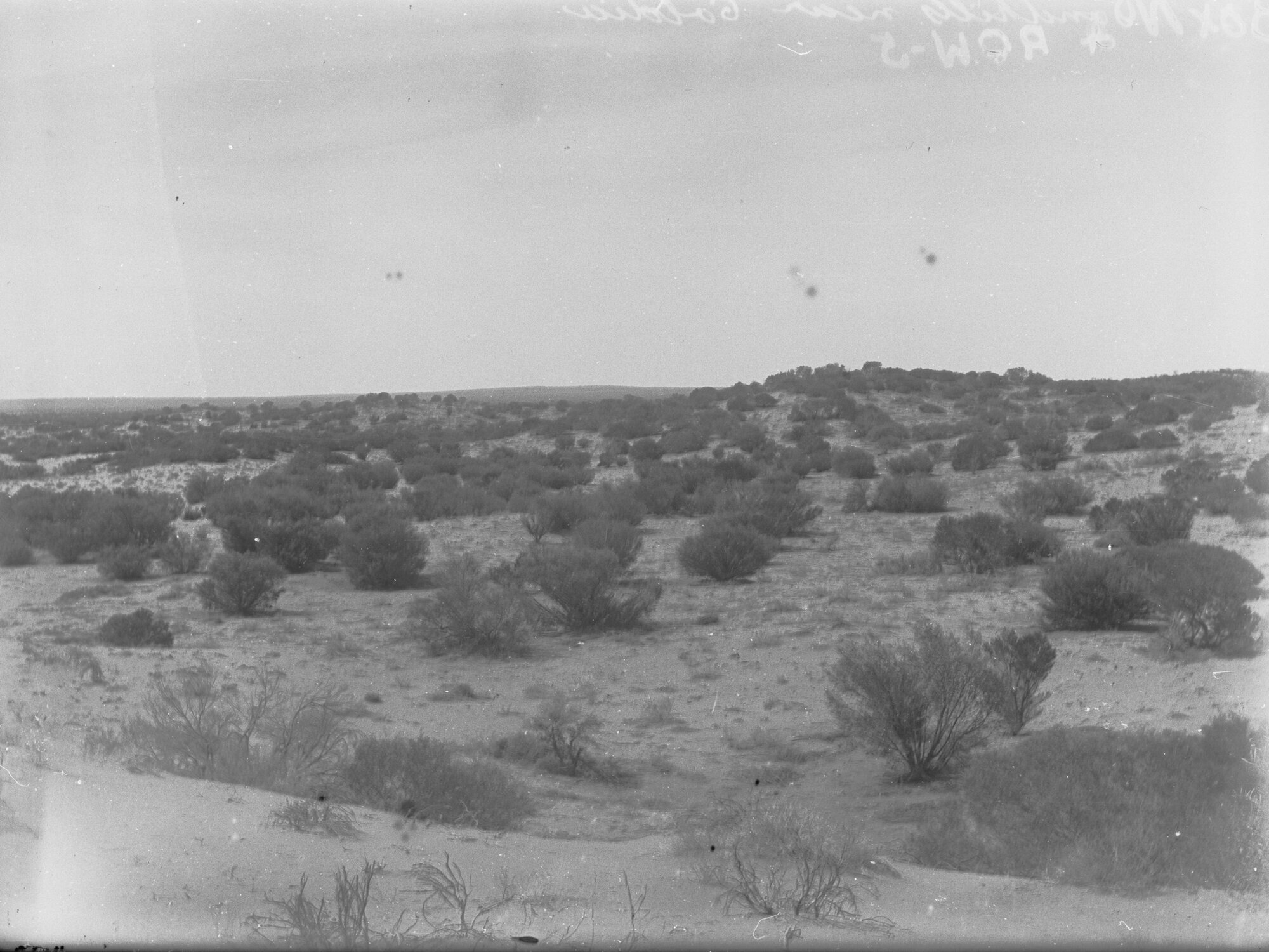Sandhills near Ooldea