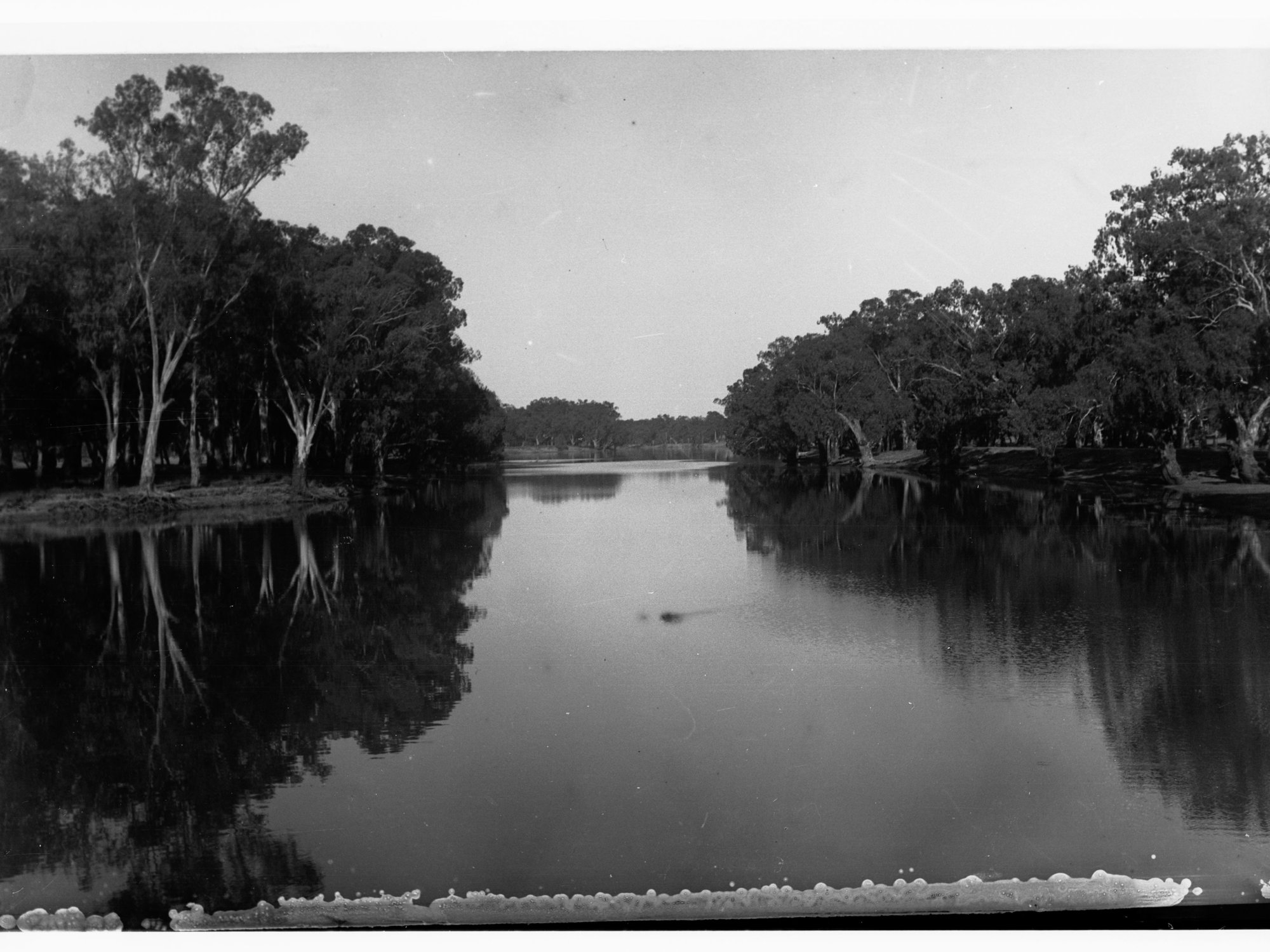 River Murray - Parliamentary Tour of River Murray