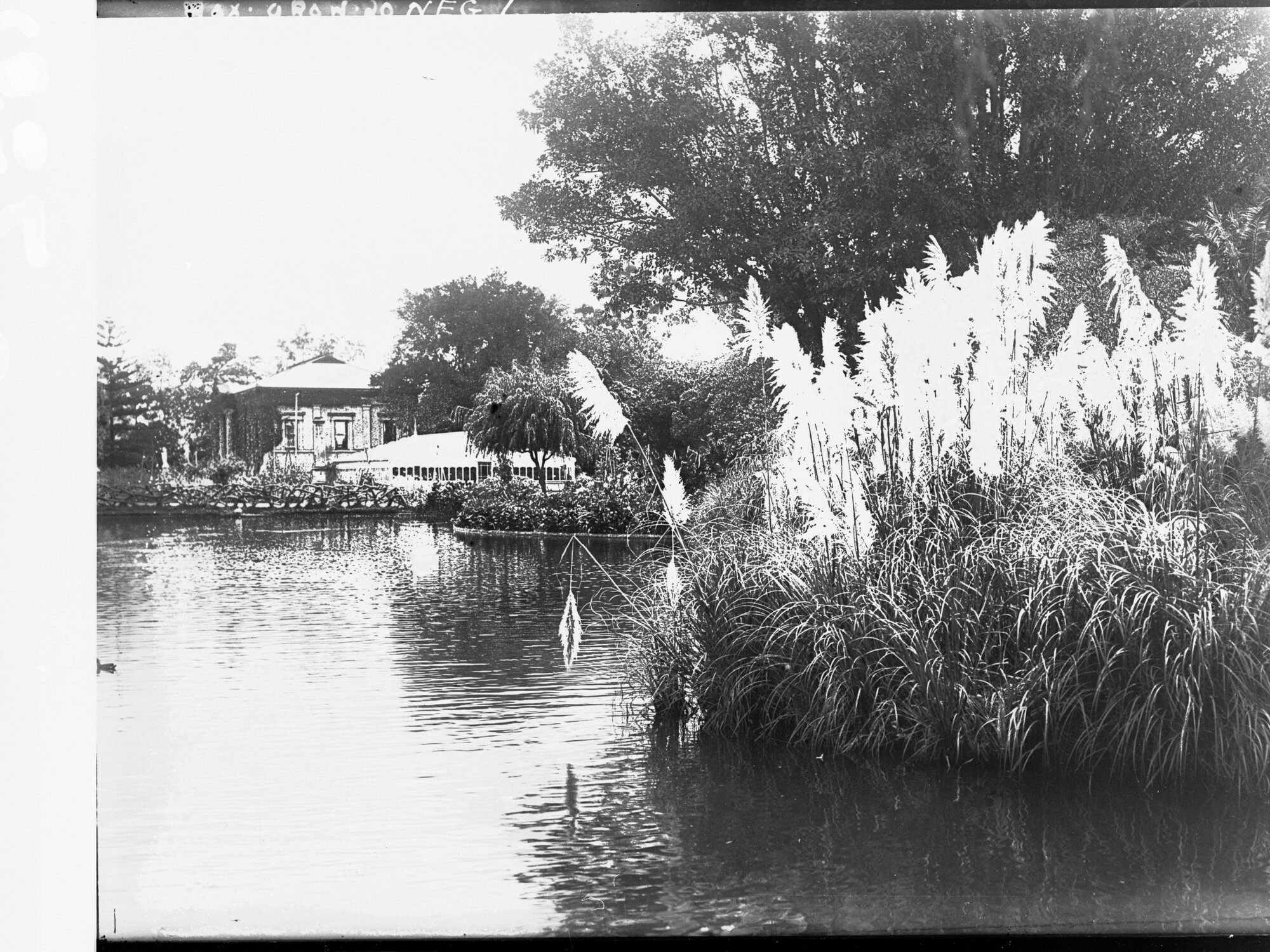 The Botanic Gardens, Adelaide