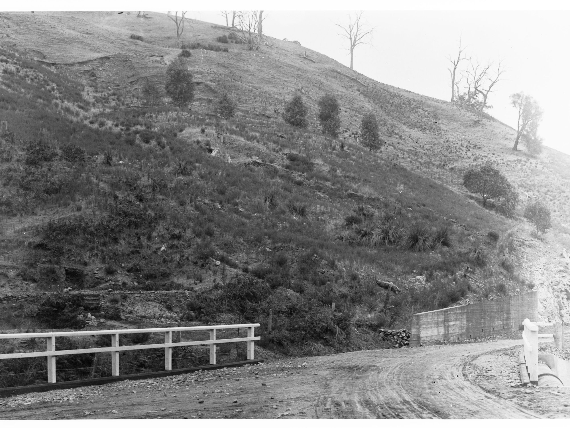 Torrens Gorge Road
