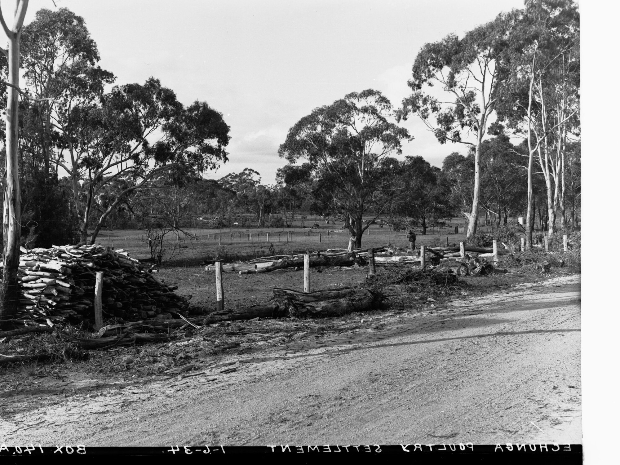 Echunga Poultry Settlement Showing Rural Scene