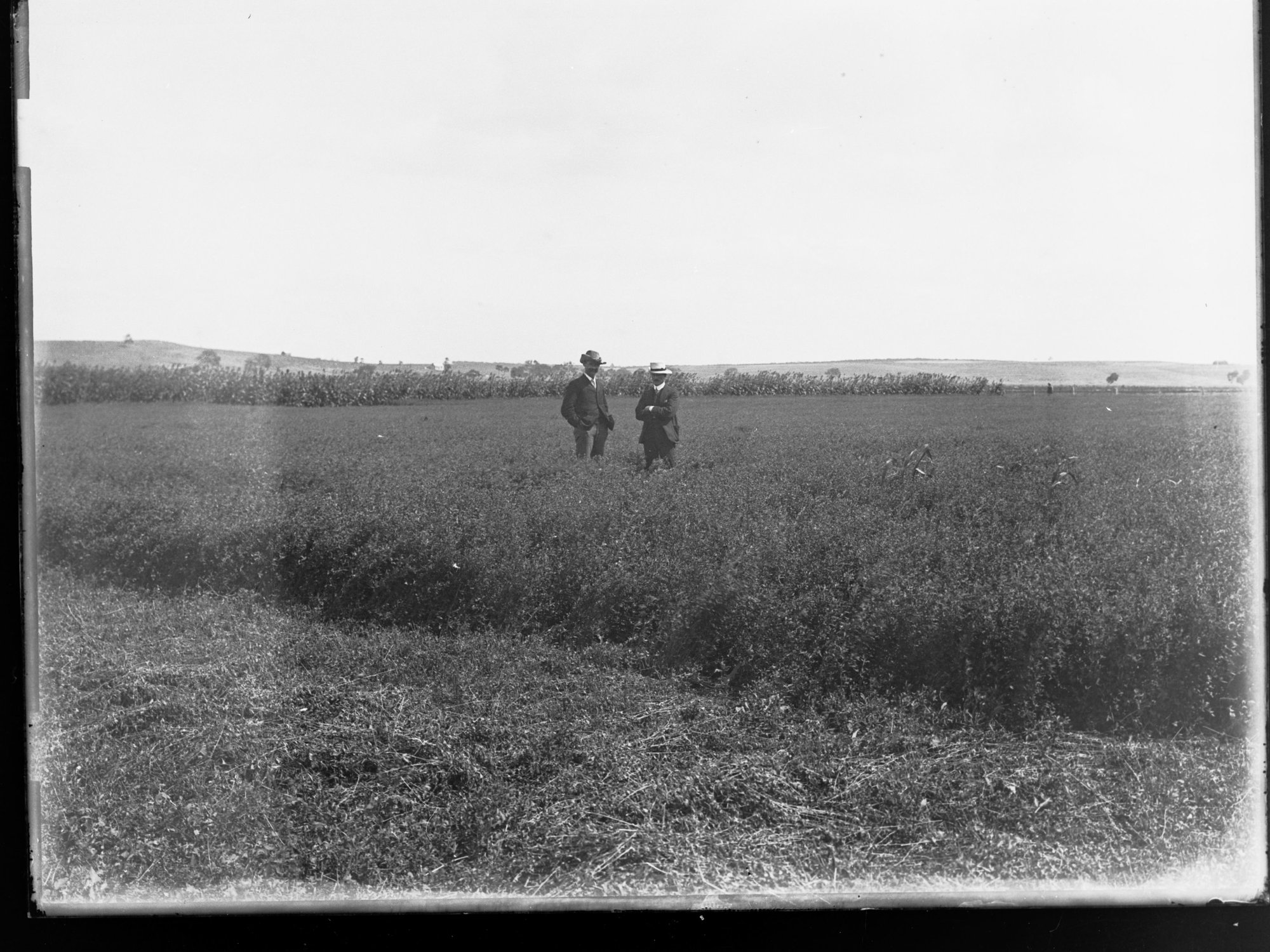 Men in a field