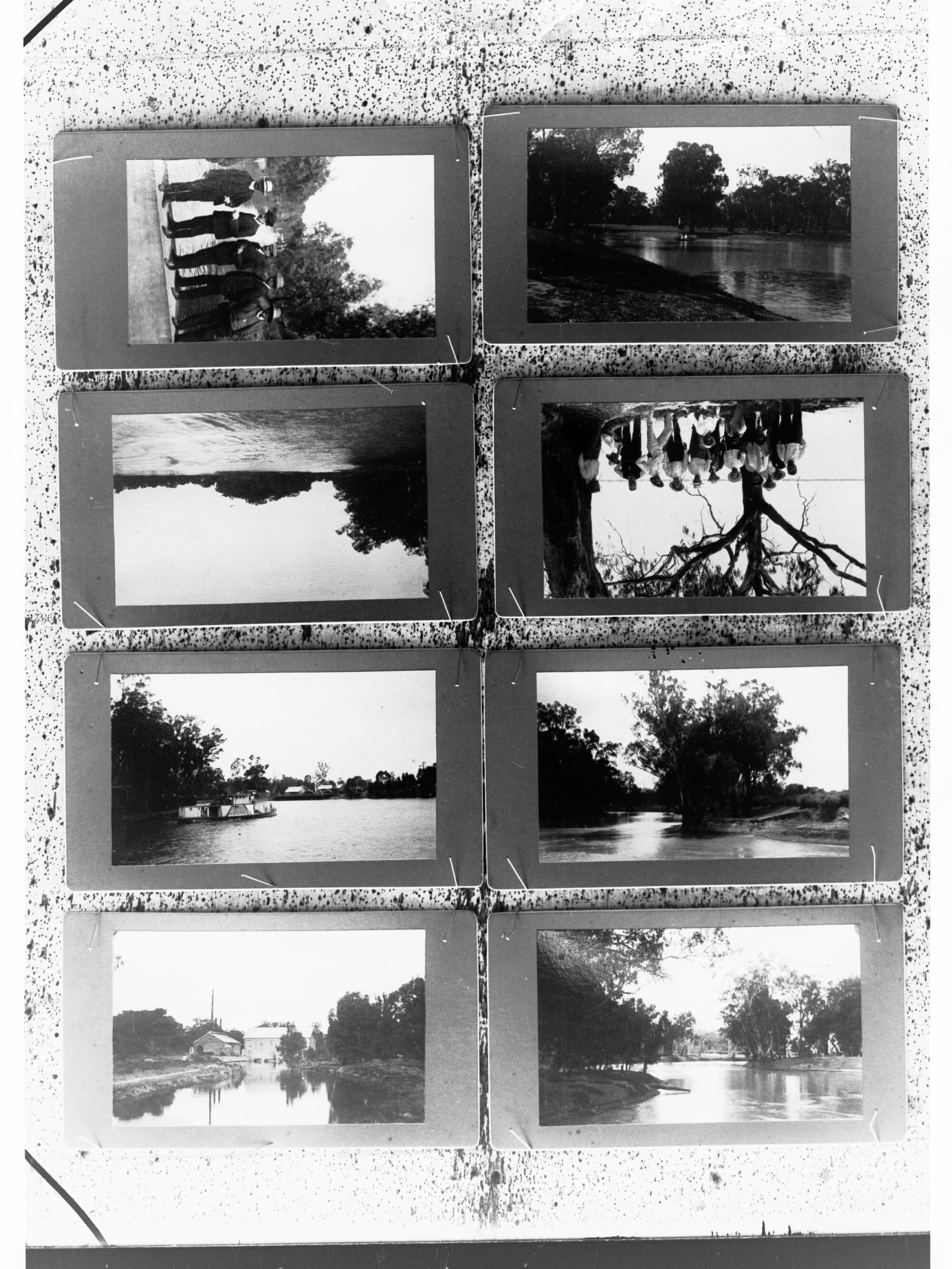 River Murray Scenes
