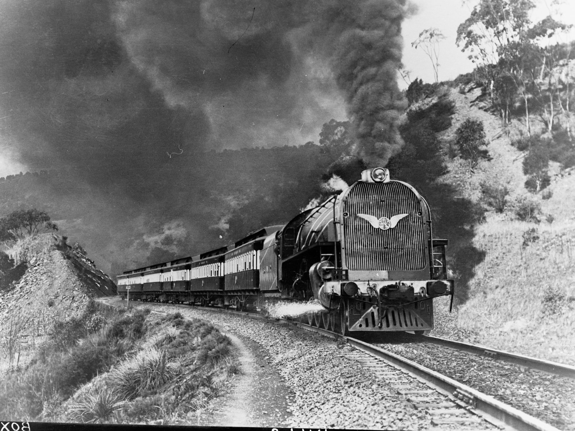 Centenary Train in Hills