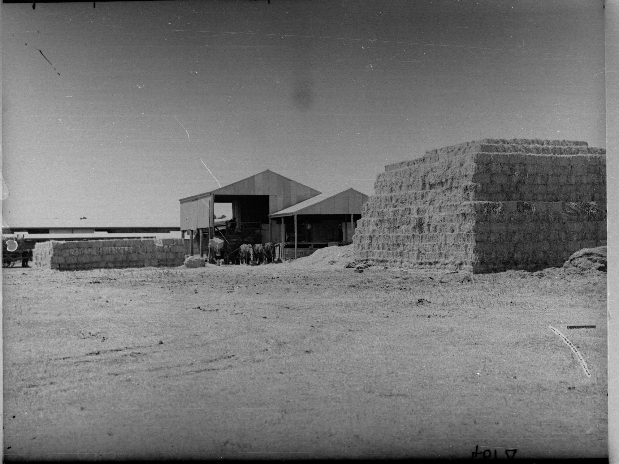 Roseworthy Agricultural College 