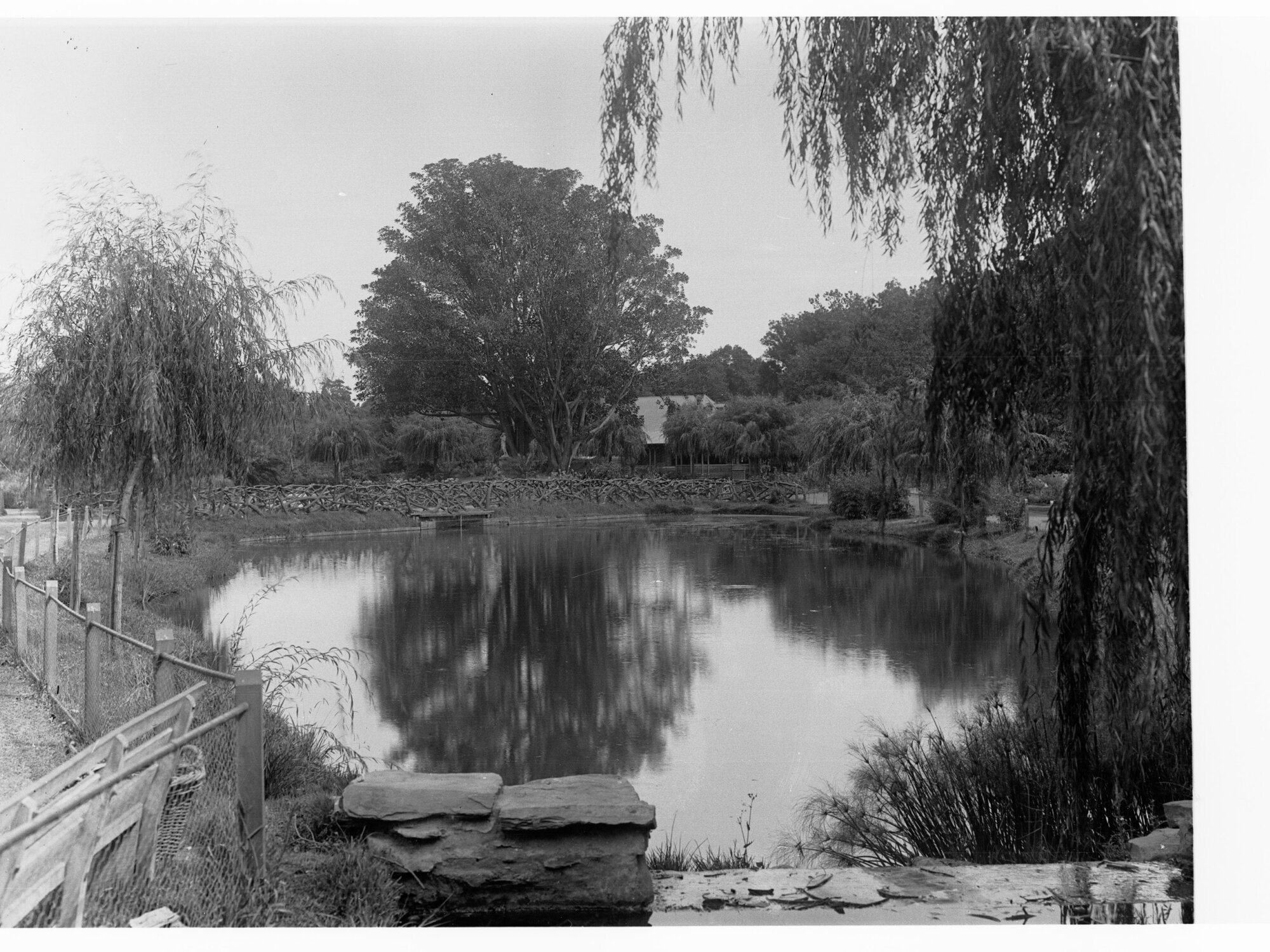 Botanic Gardens Pond