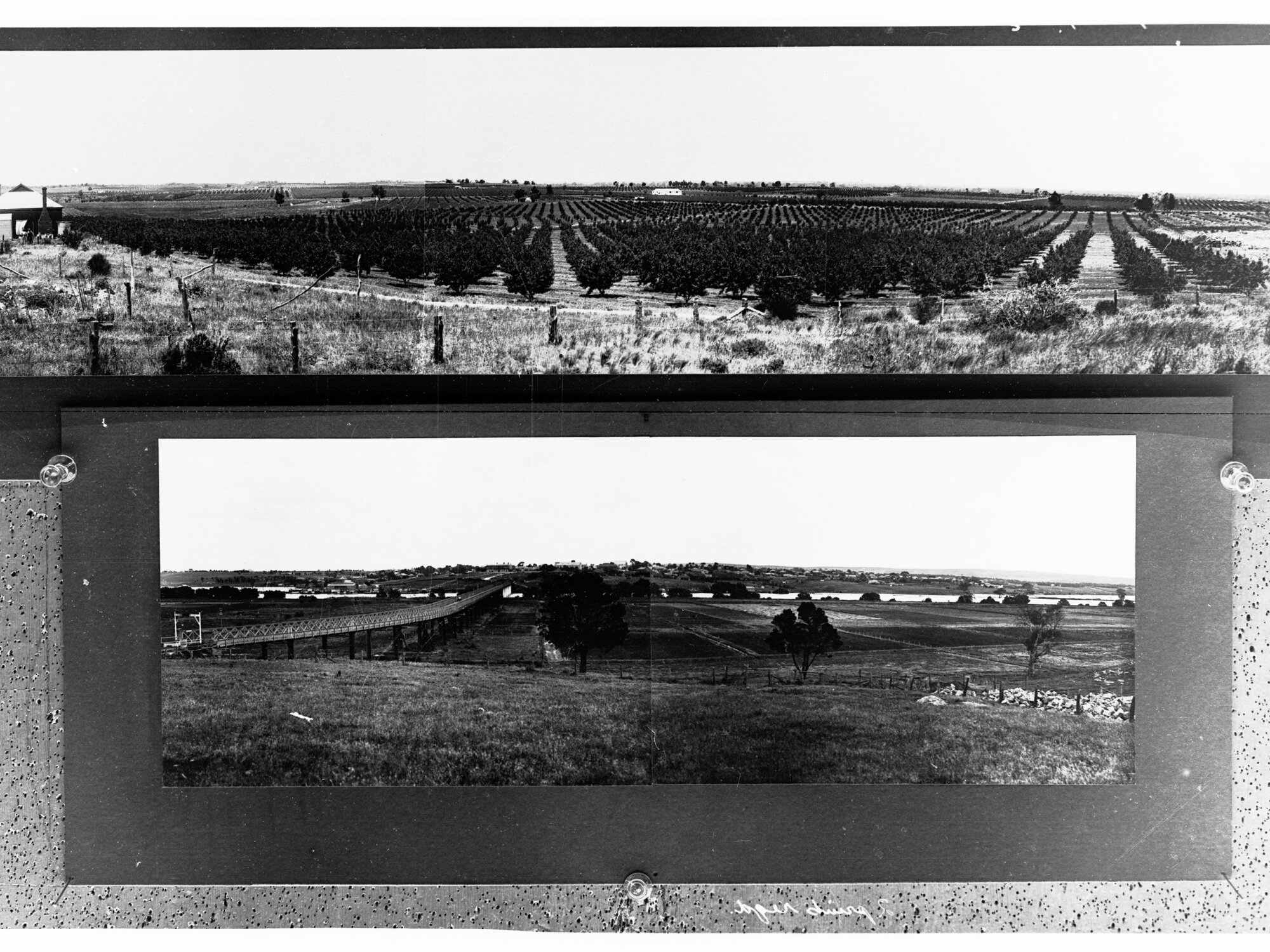 Panoramic Views of Murray Bridge