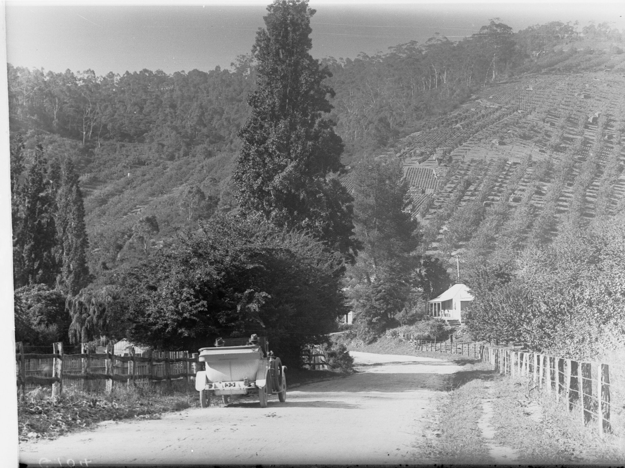 Car Driving Down Road, Mount Lofty Ranges