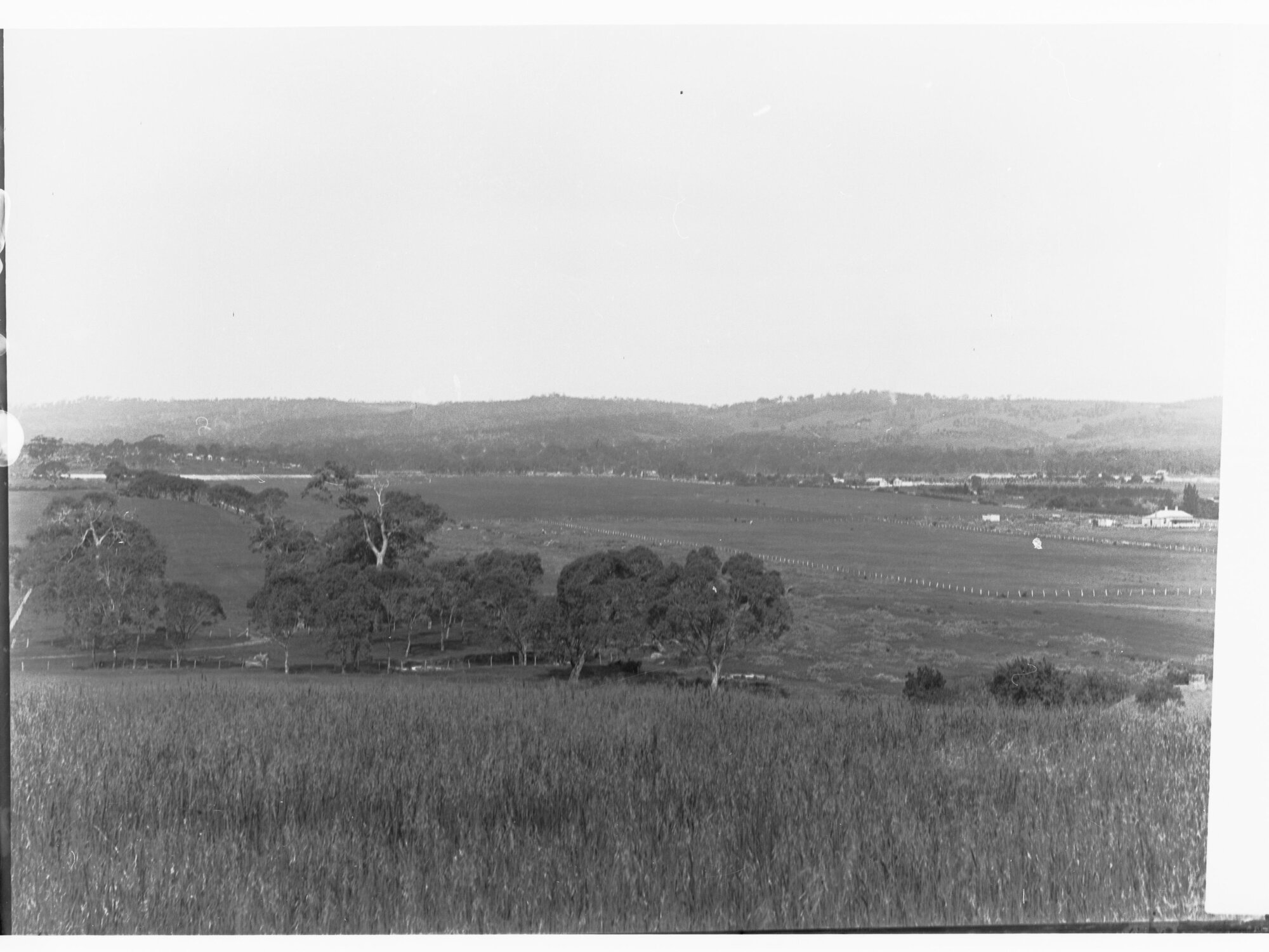 Rural view of Happy Valley - trees and fences and farmhouse in distance
