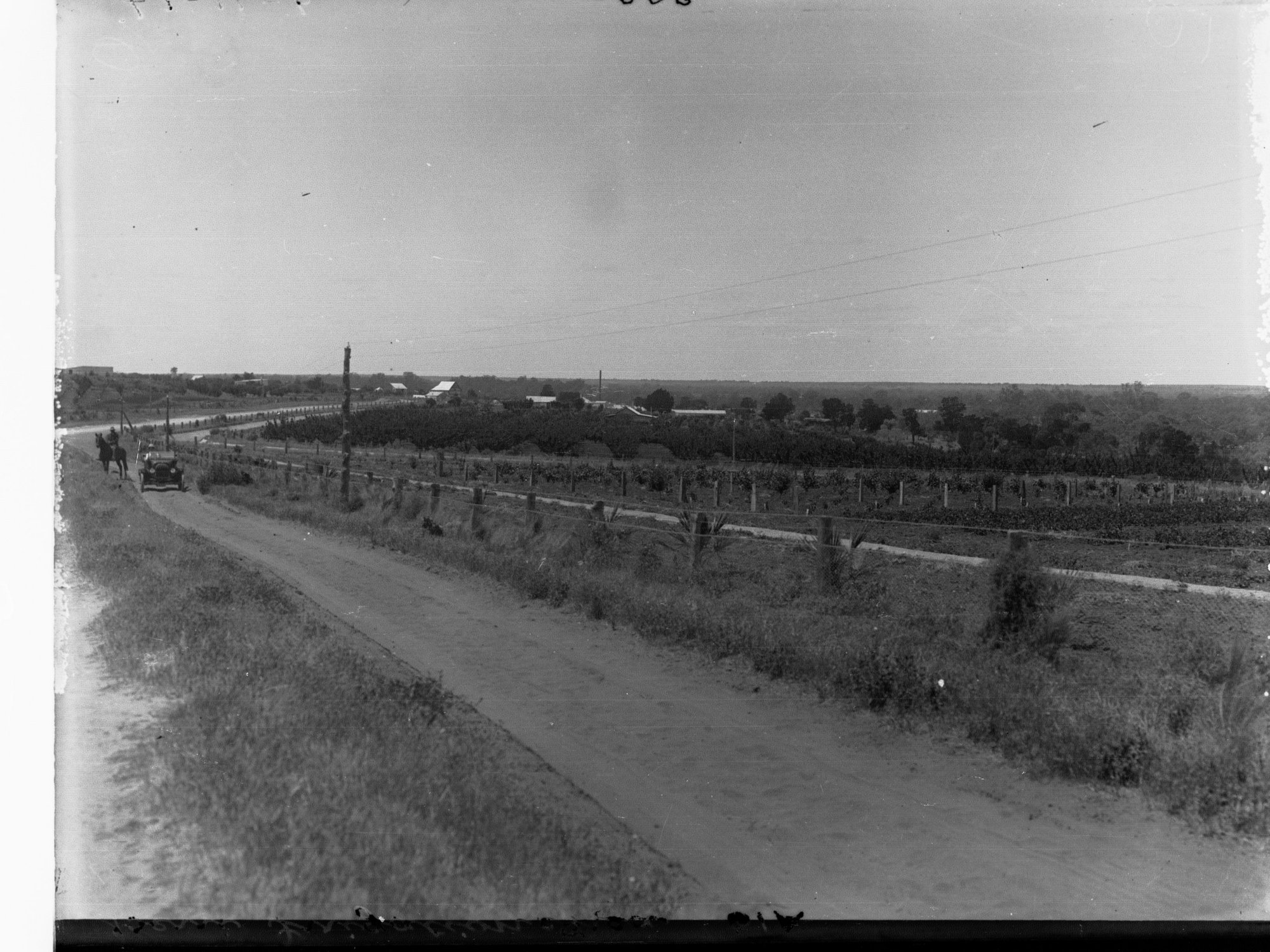 Automobile on Road at Berri.