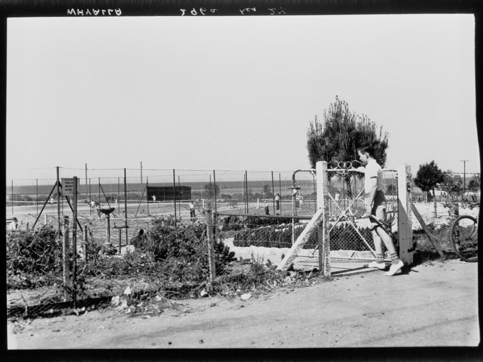 Tennis Courts - Whyalla
