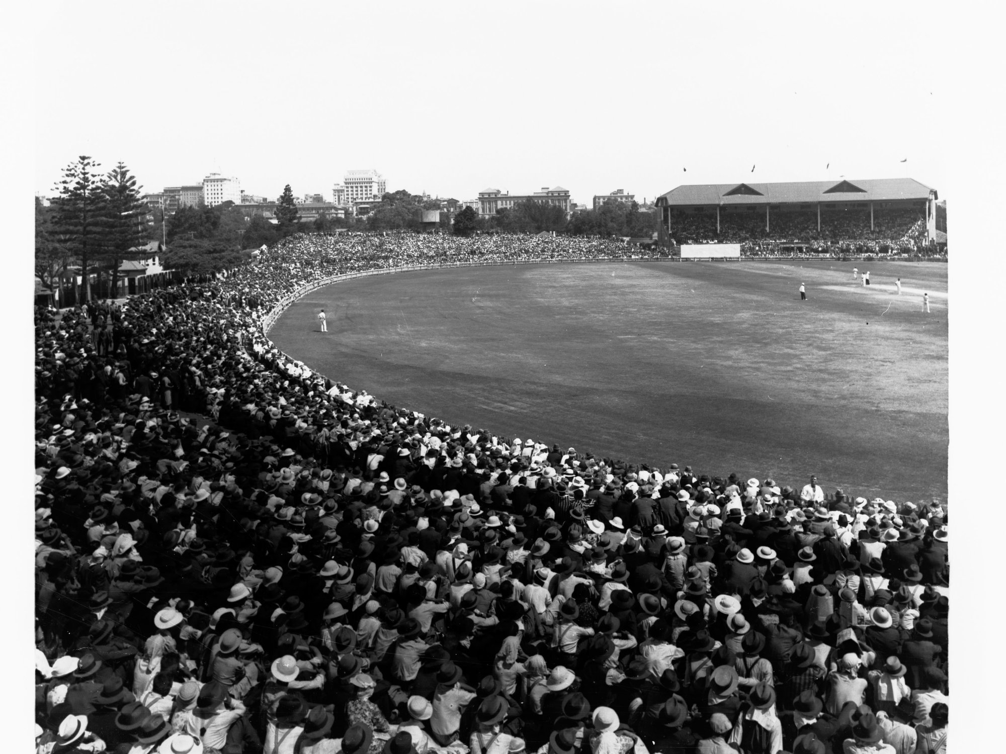 Cricket at Adelaide Oval