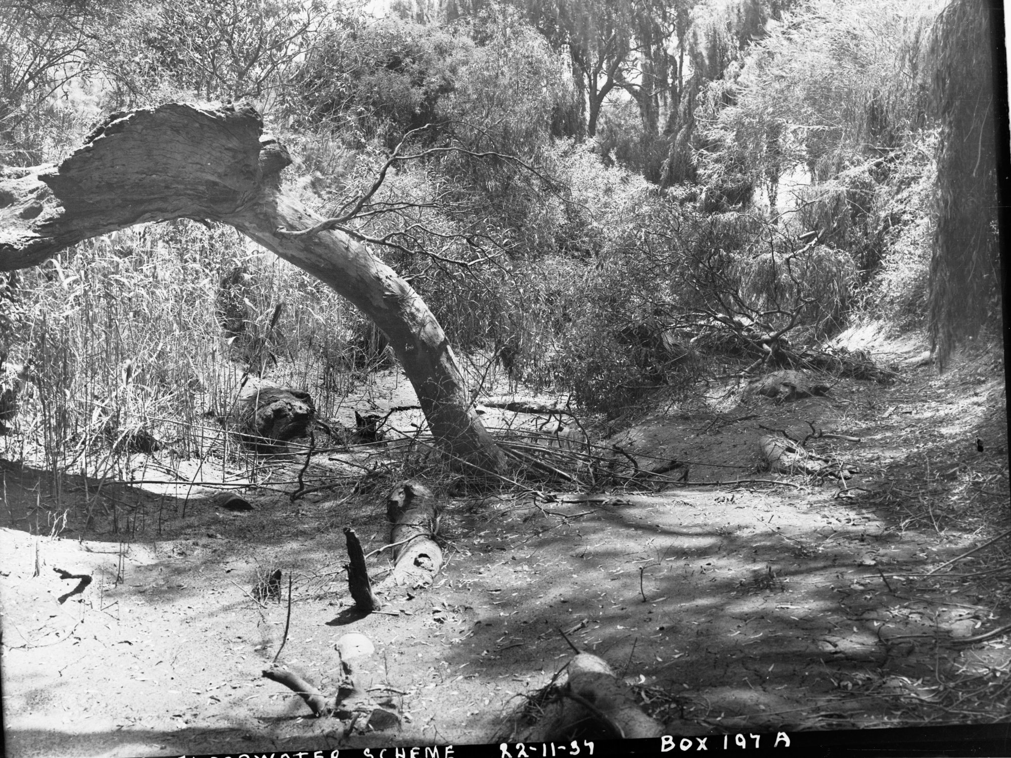 Torrens Floodwater Scheme
