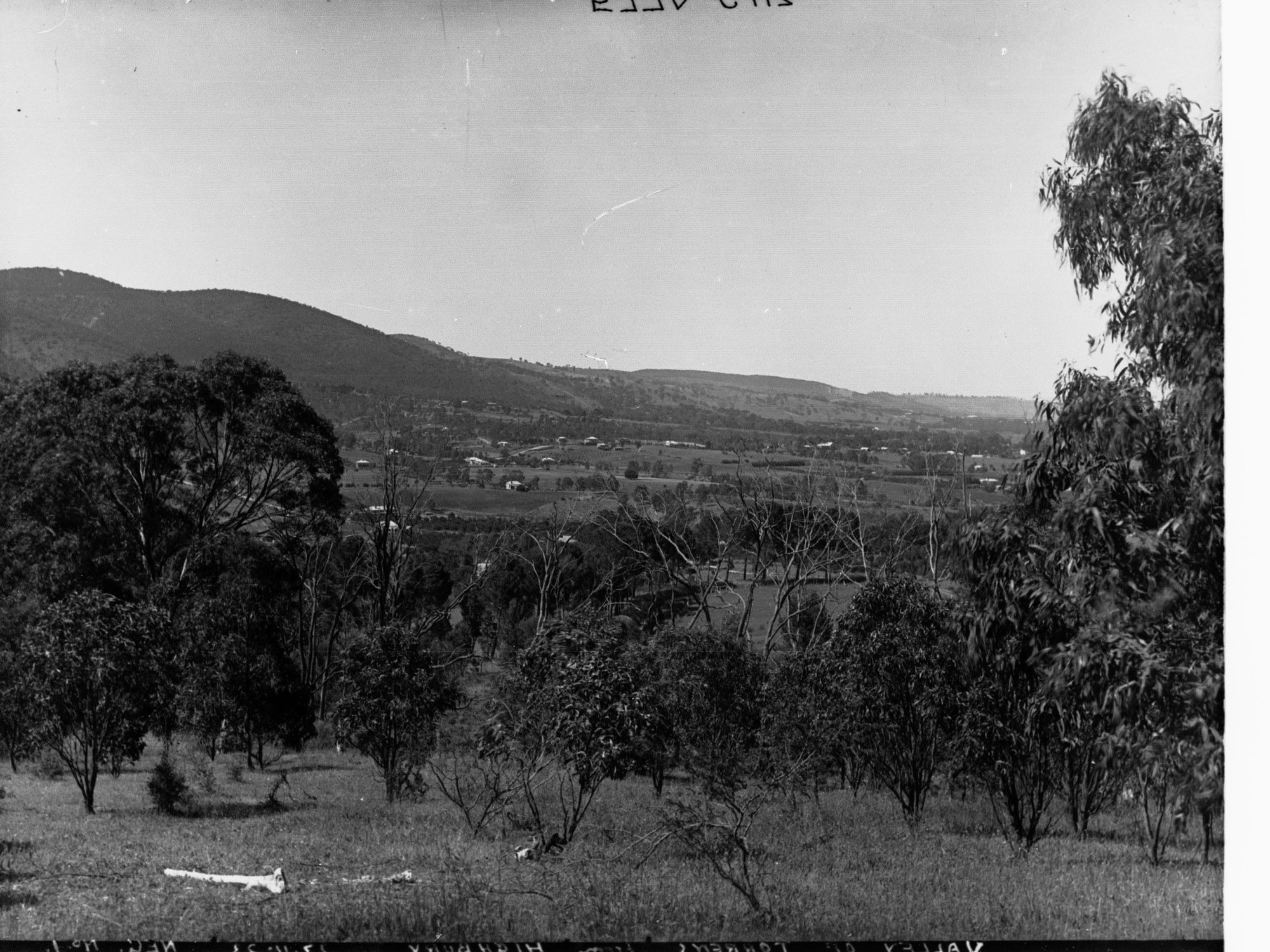 Torrens Gorge Area Near Athelstone