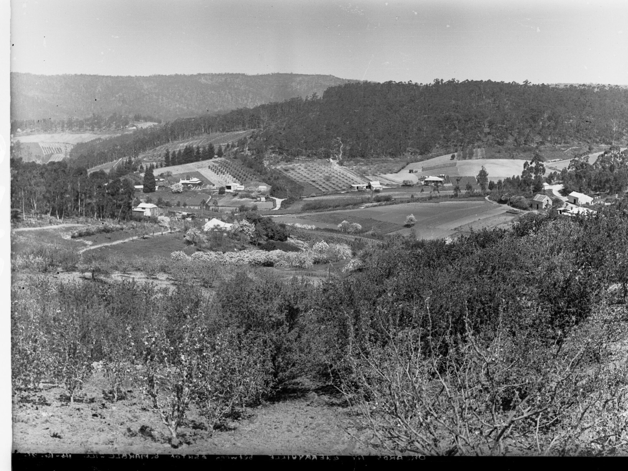 Orchards at Pound Road, Ashton