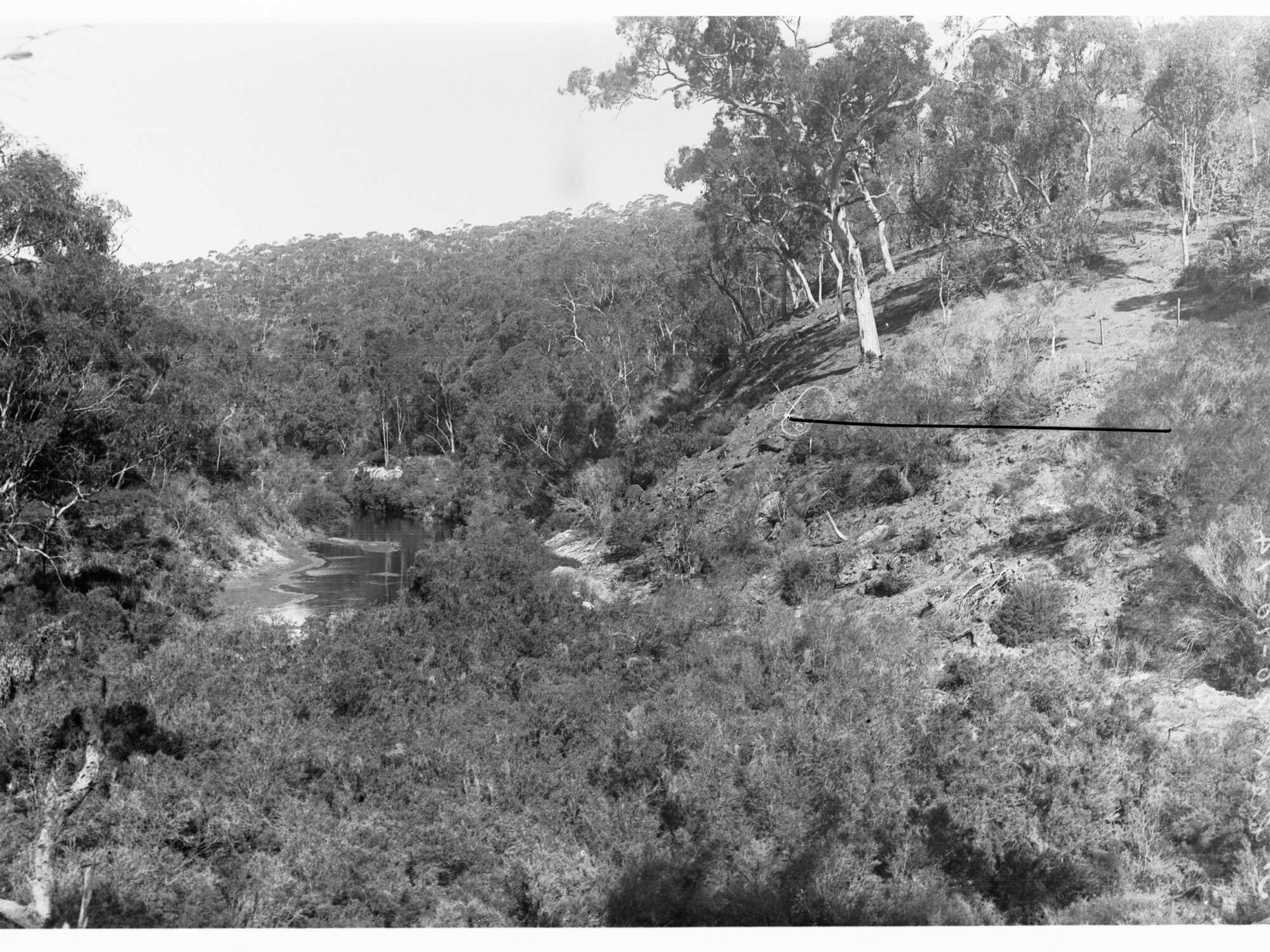 River Torrens at Junction with Chain of Ponds Creek