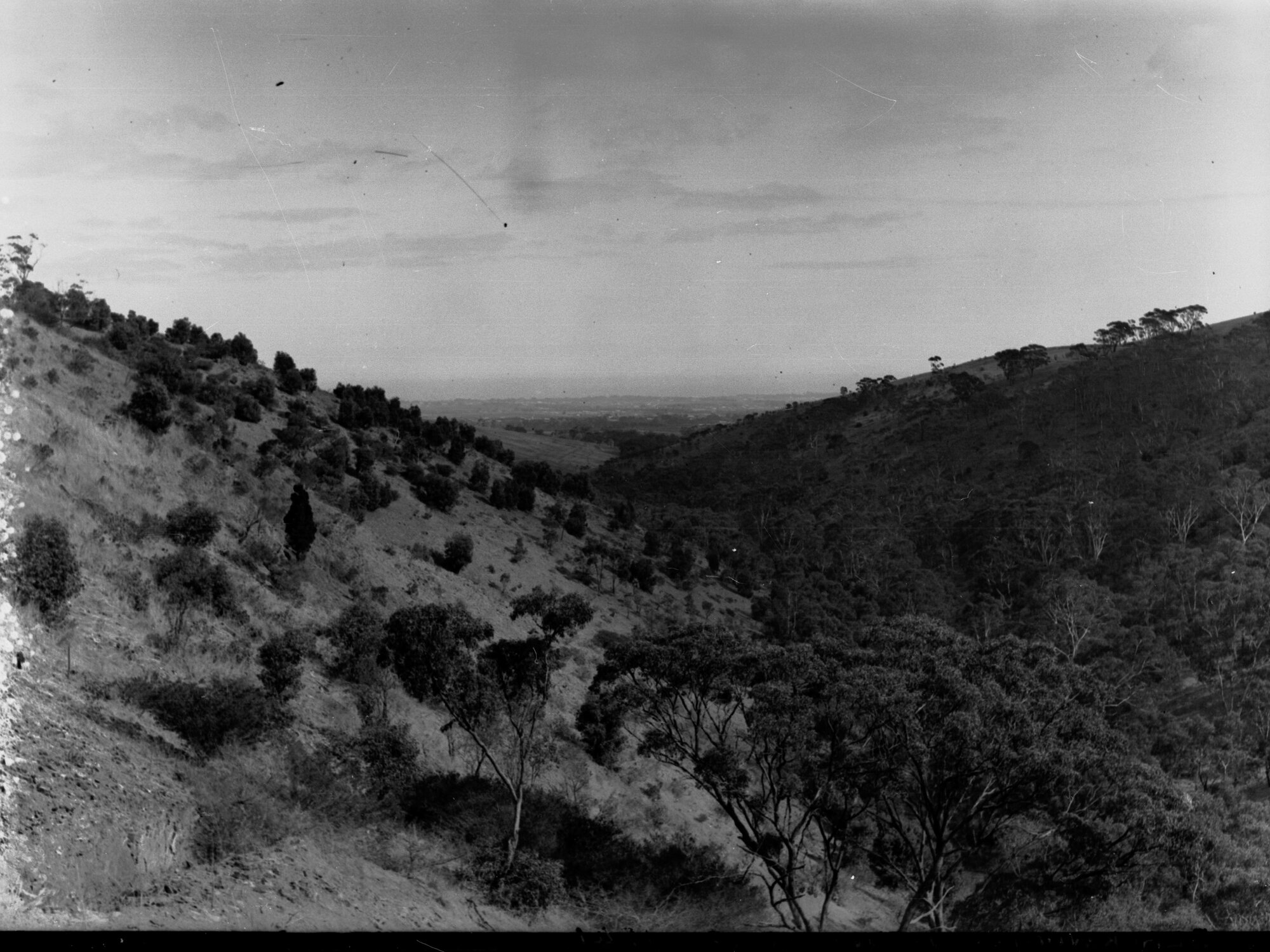 Blackwood View