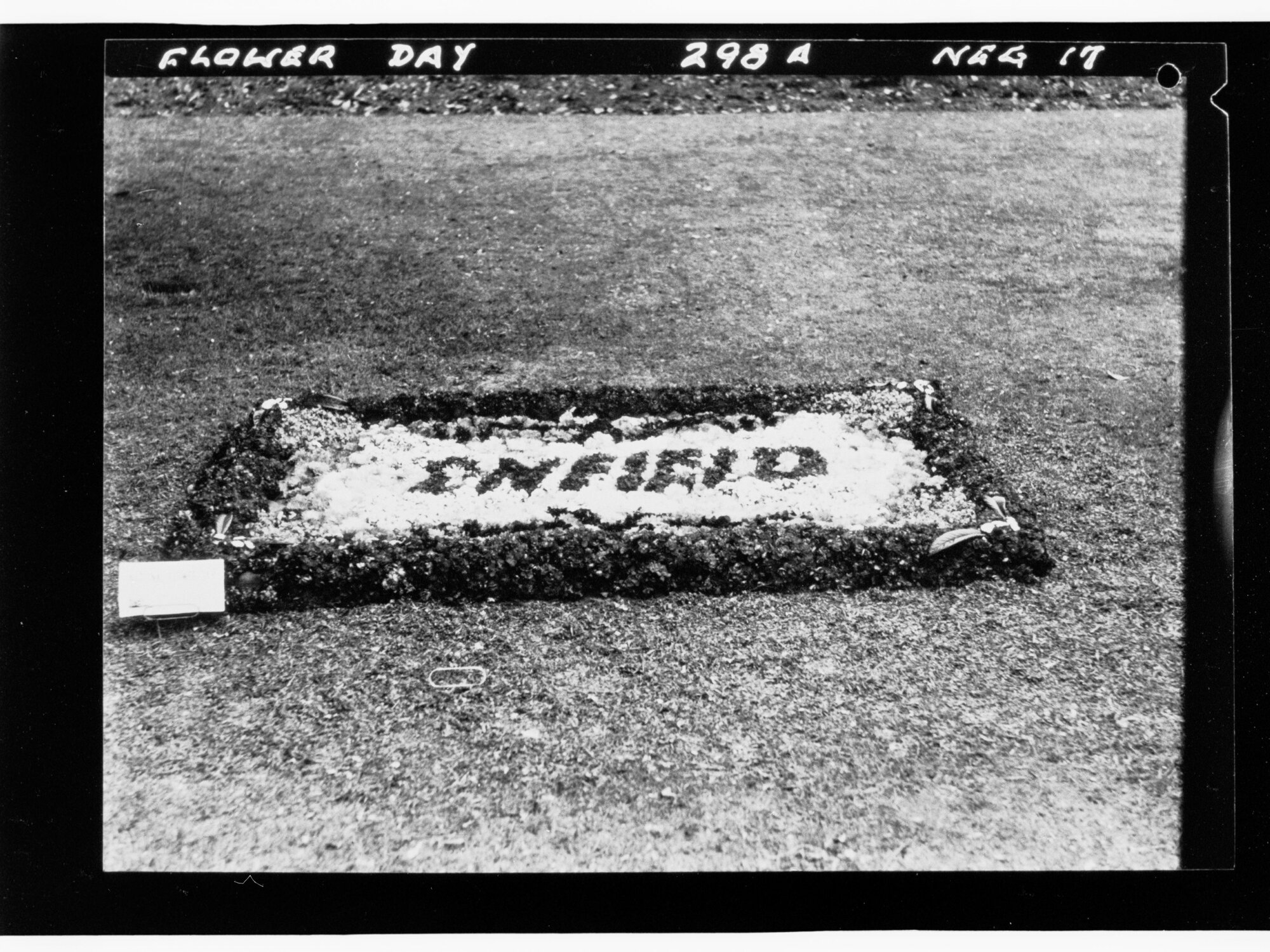 Flower Day - exhibit in ground (Enfield)