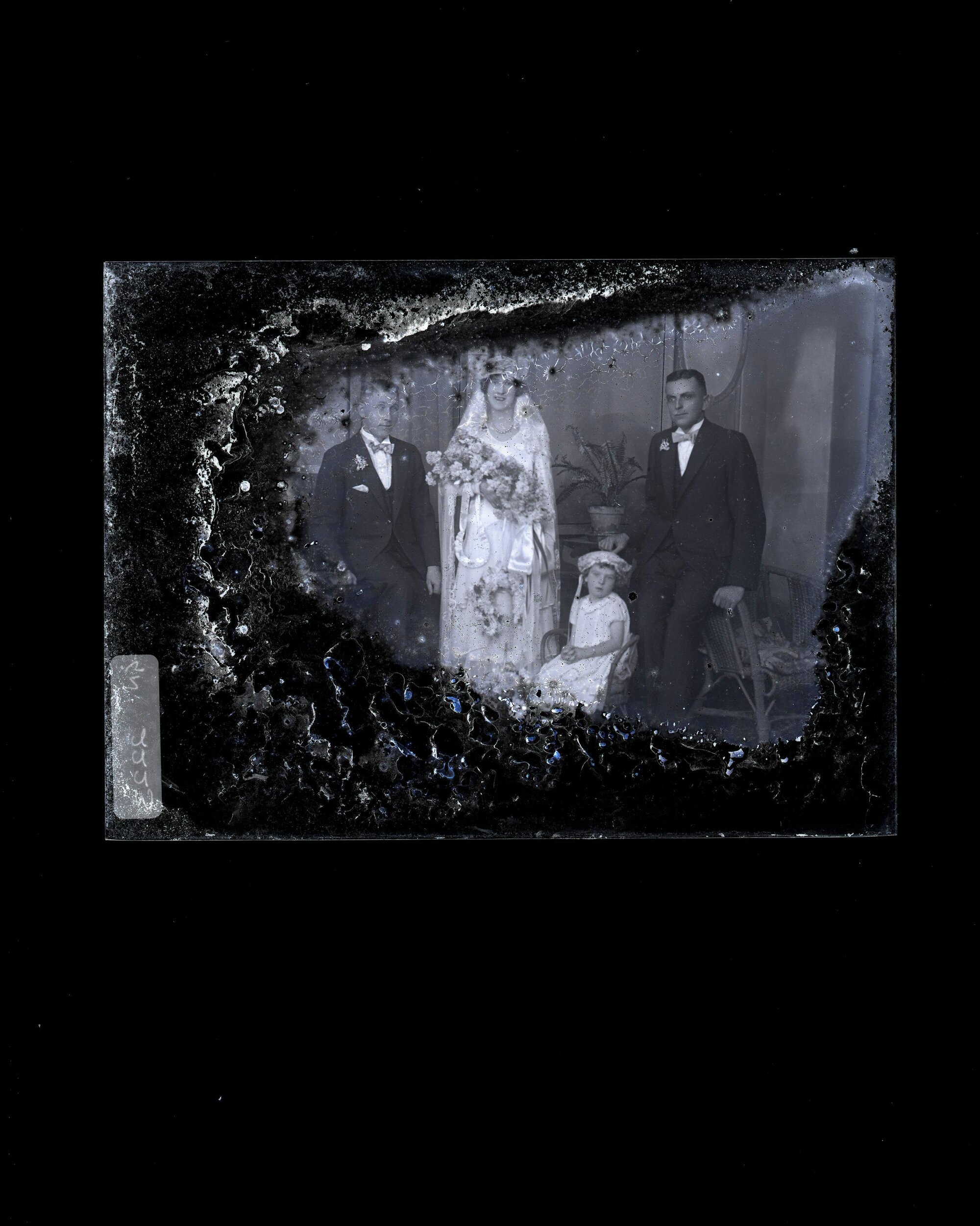 Bridal Party - No Name