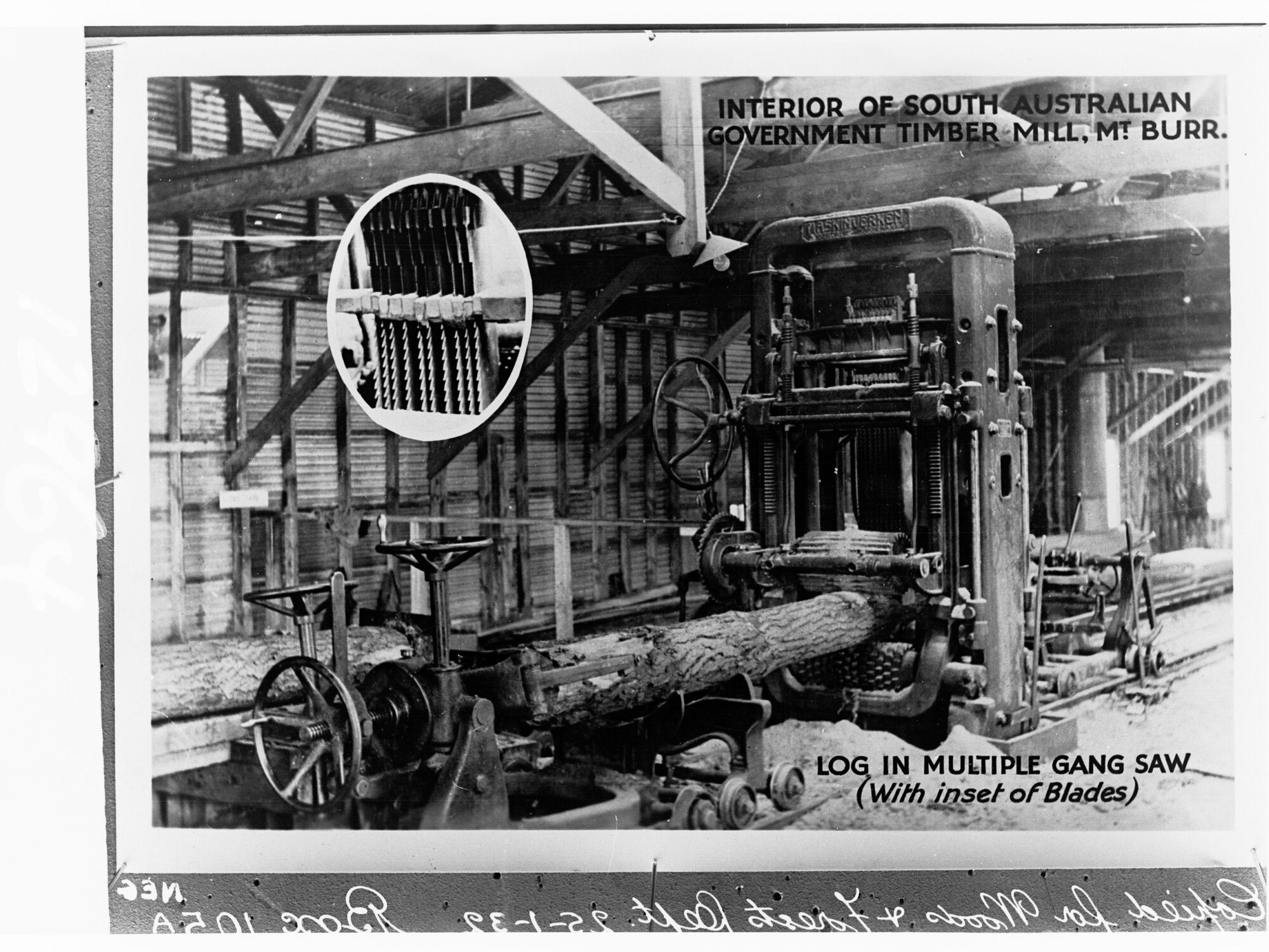 Interior of South Australian Government Timber Mill - Mount Burr