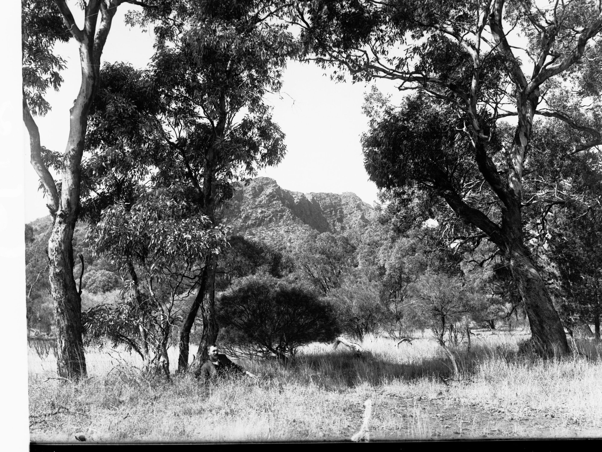 Home Rule Flat Artimore Ranges