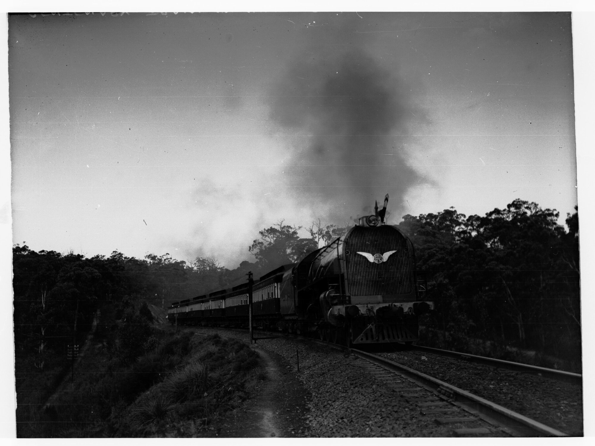 Centenary Railway Locomotive in the hills