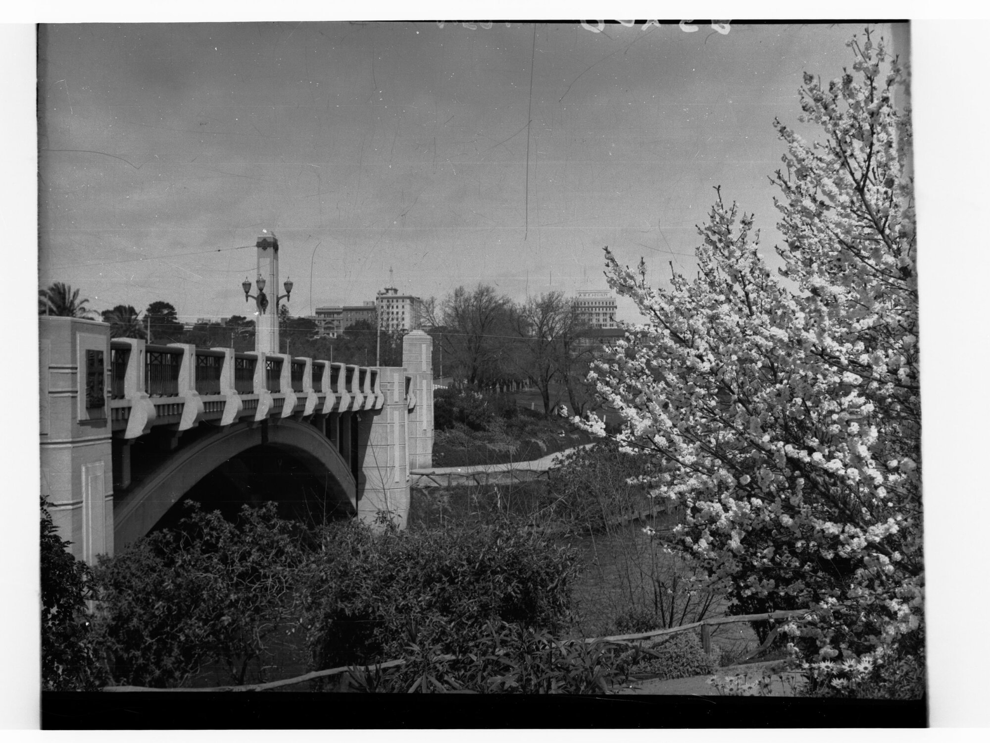 City Bridge and Blossoms