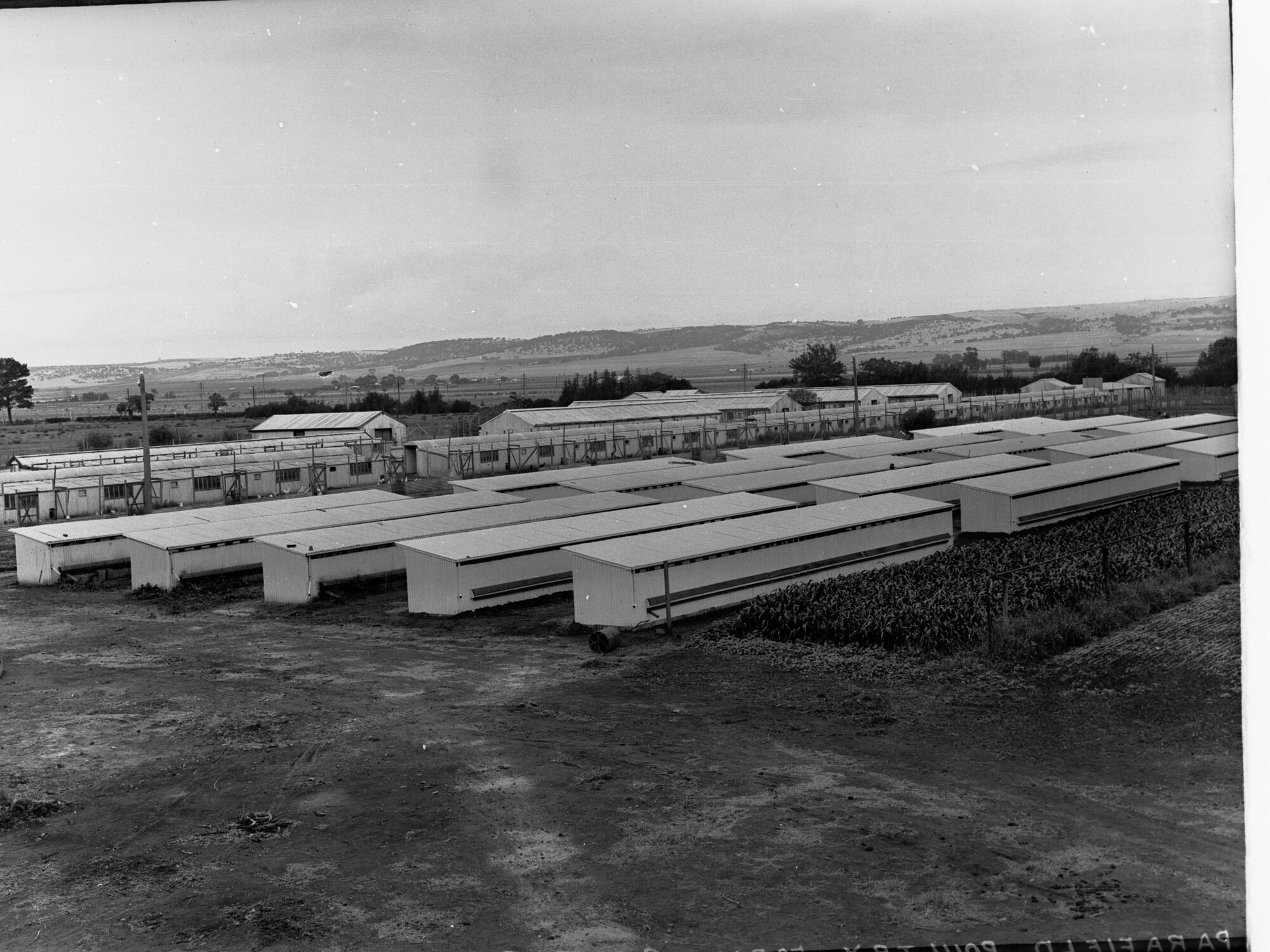 Parafield Poultry Farm