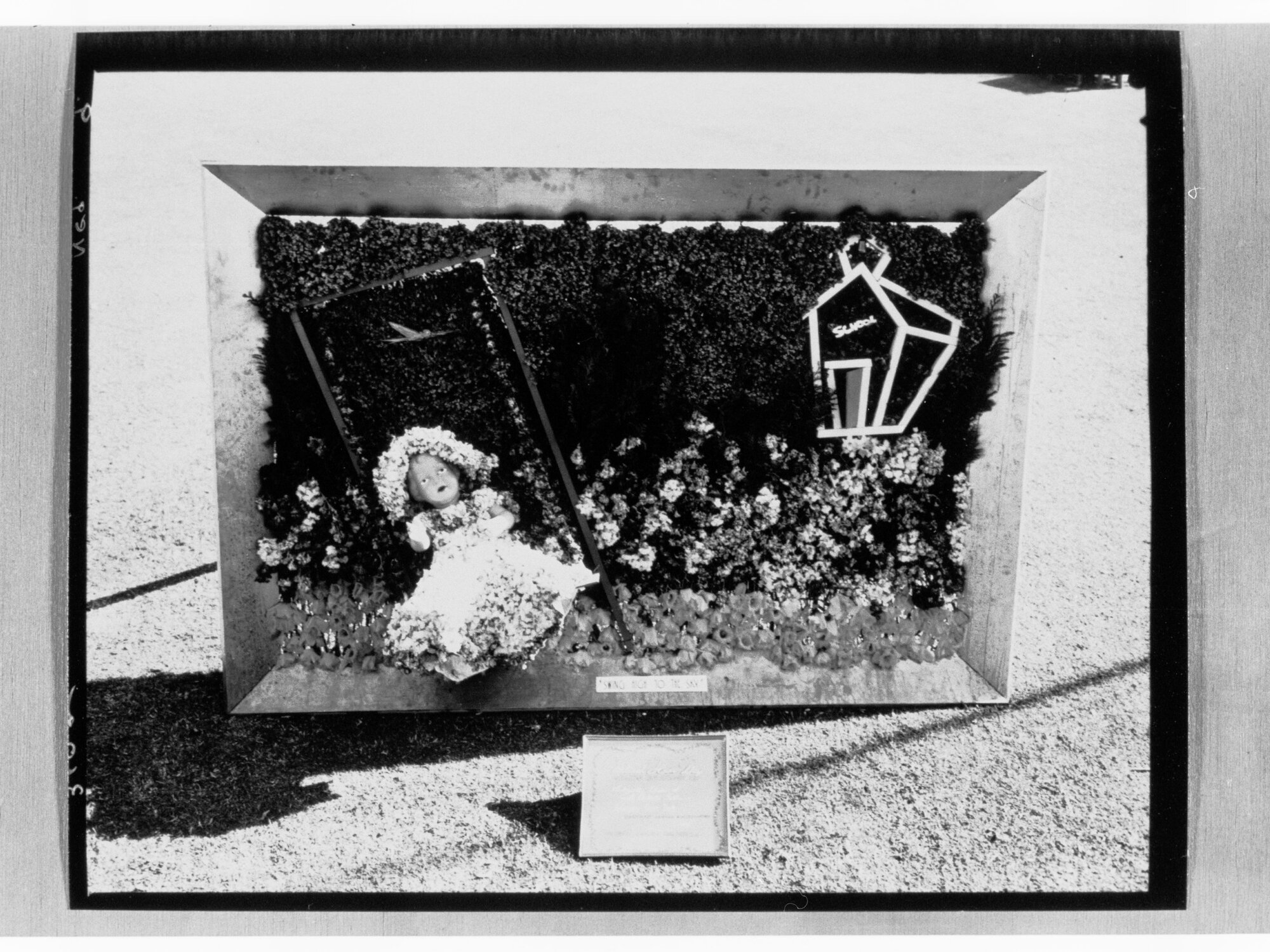 National Flower Day Festival held in Adelaide on the 21st September 1949