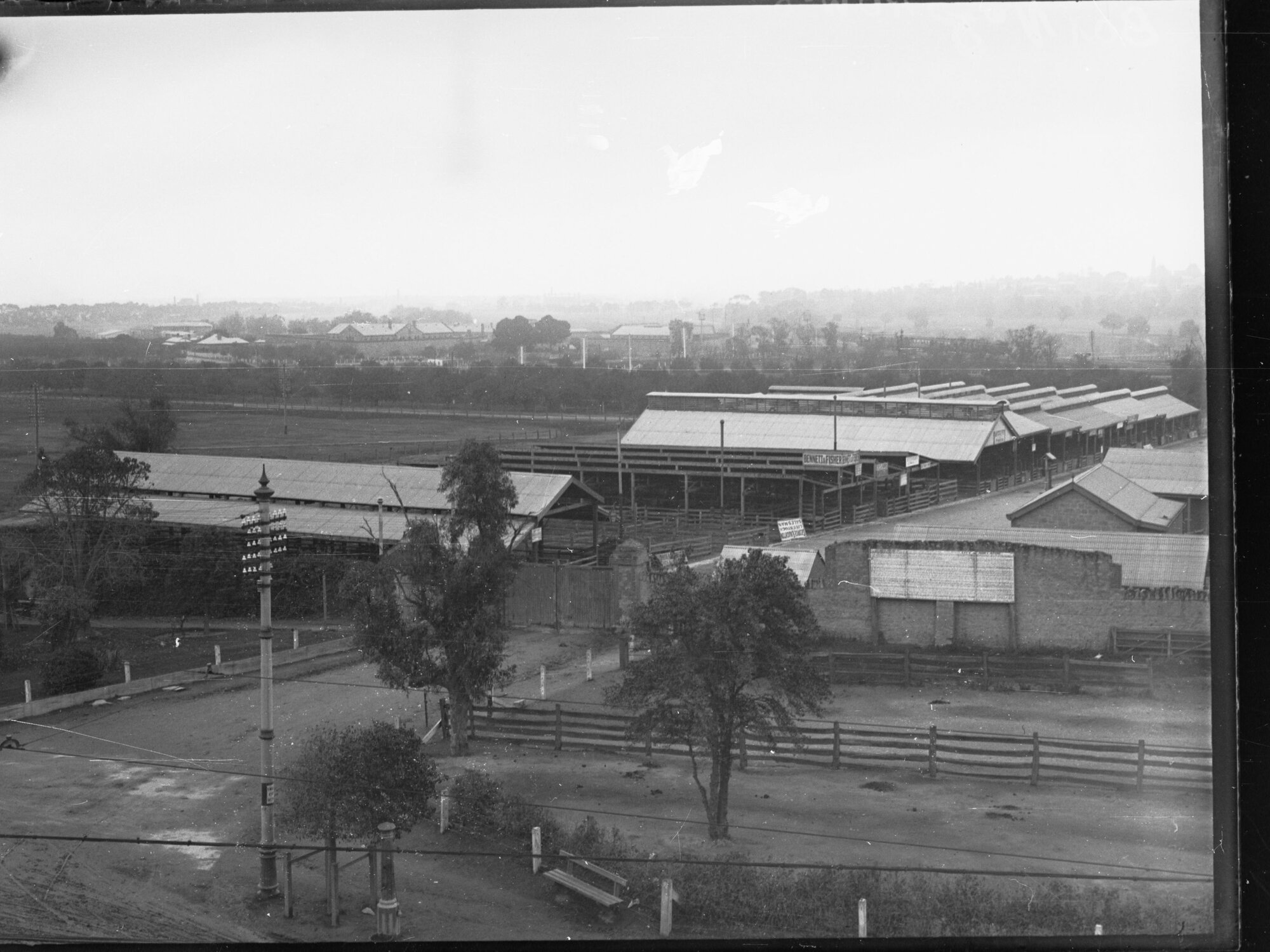 Old sale yards on North Terrace, Adelaide