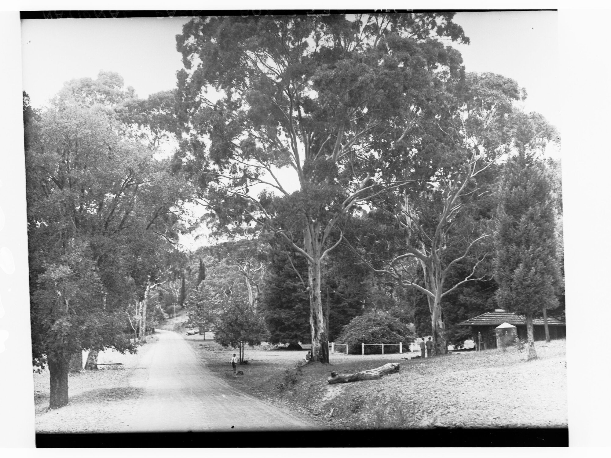 Belair National Park