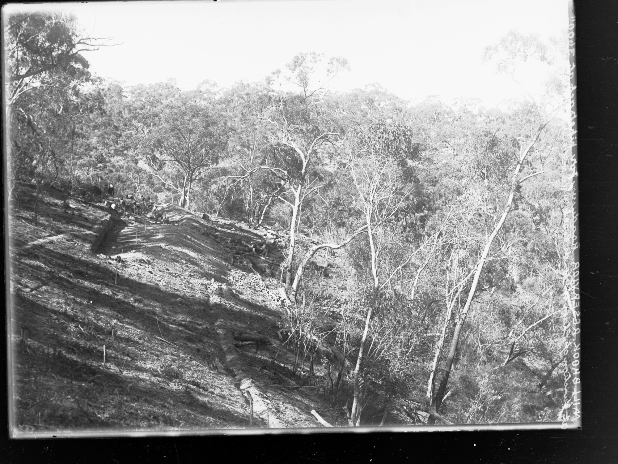 Millbrook Reservoir Construction