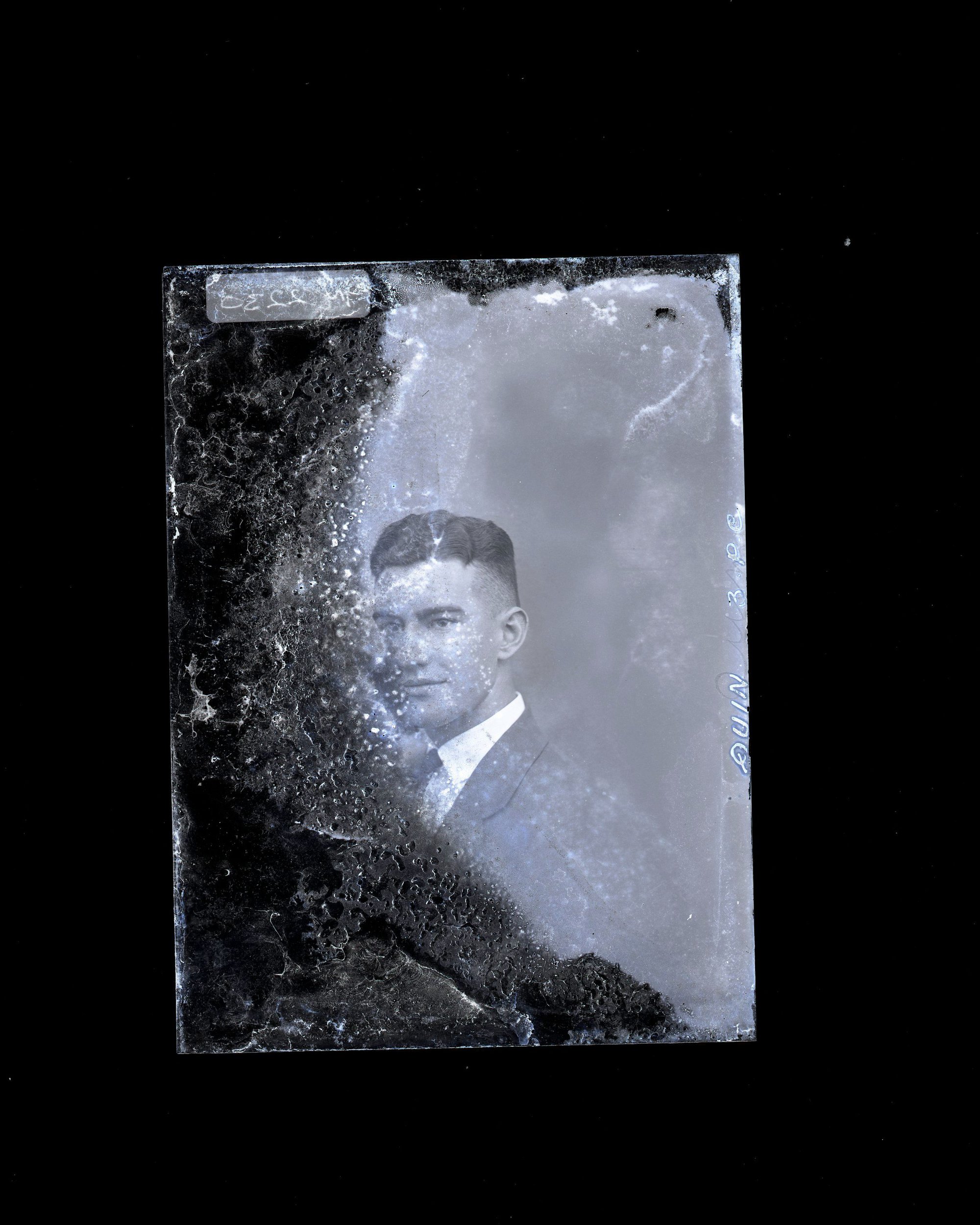 Male - Quin