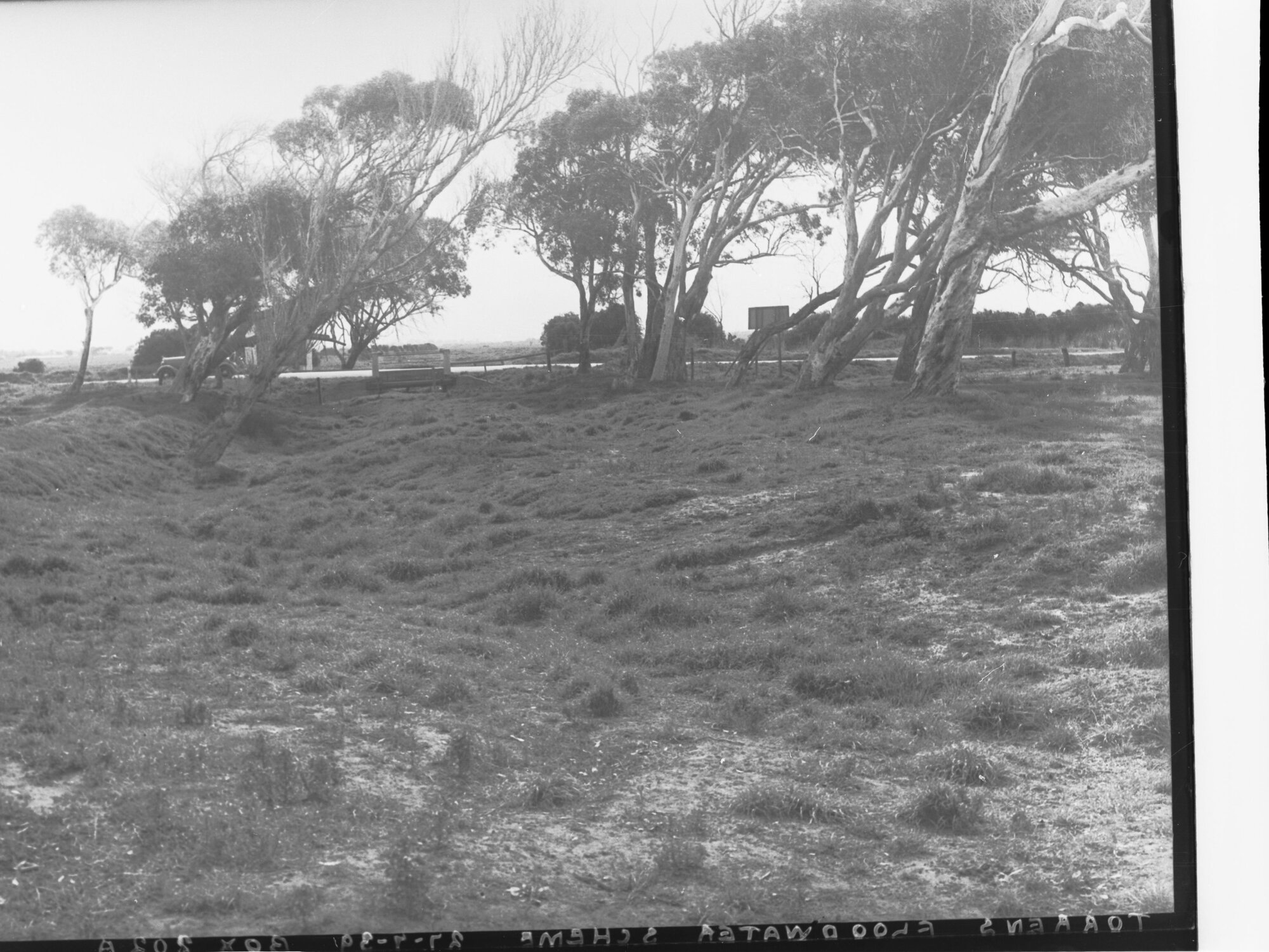 Torrens Floodwater Scheme
