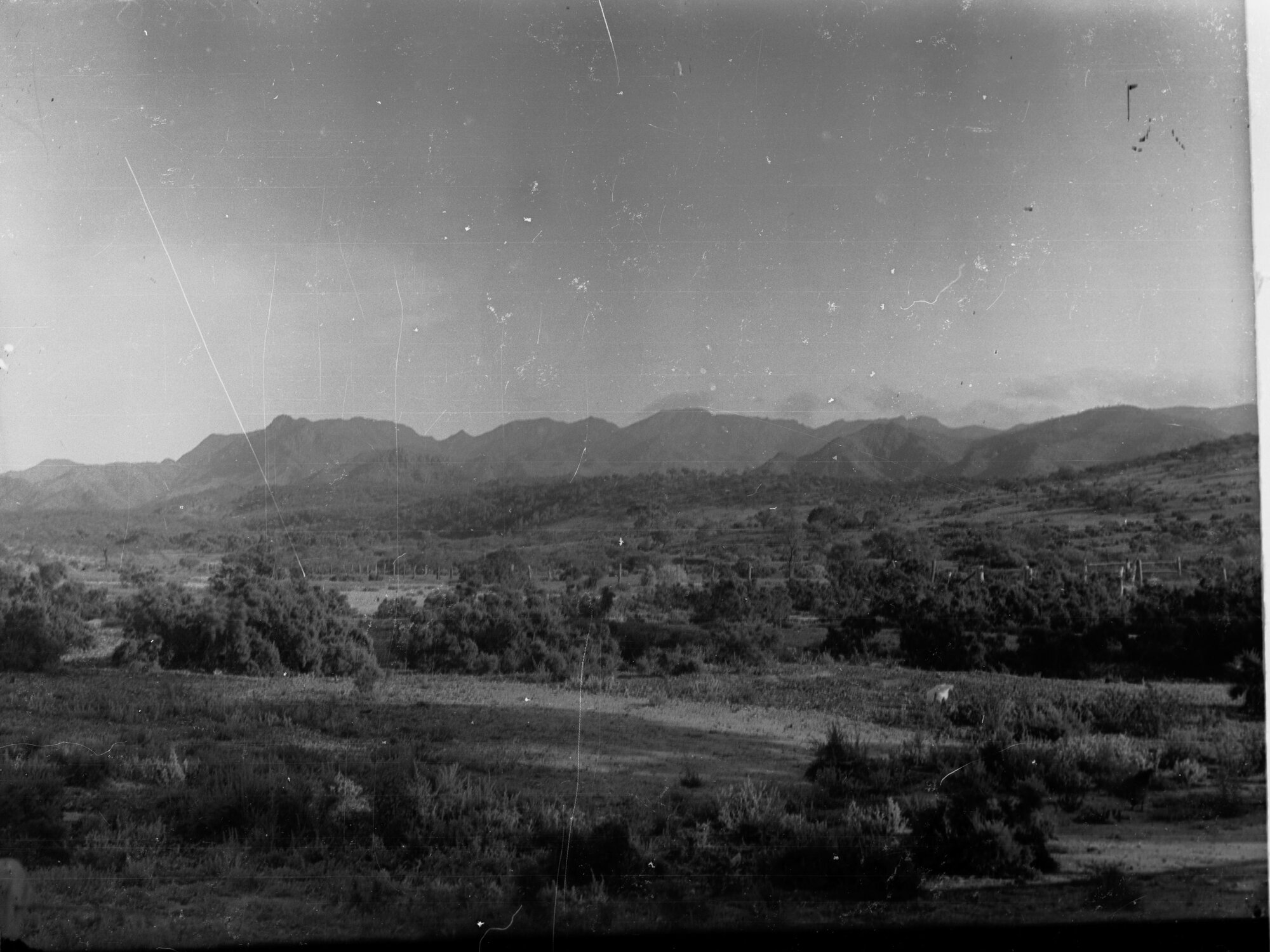 Paralana Heights
