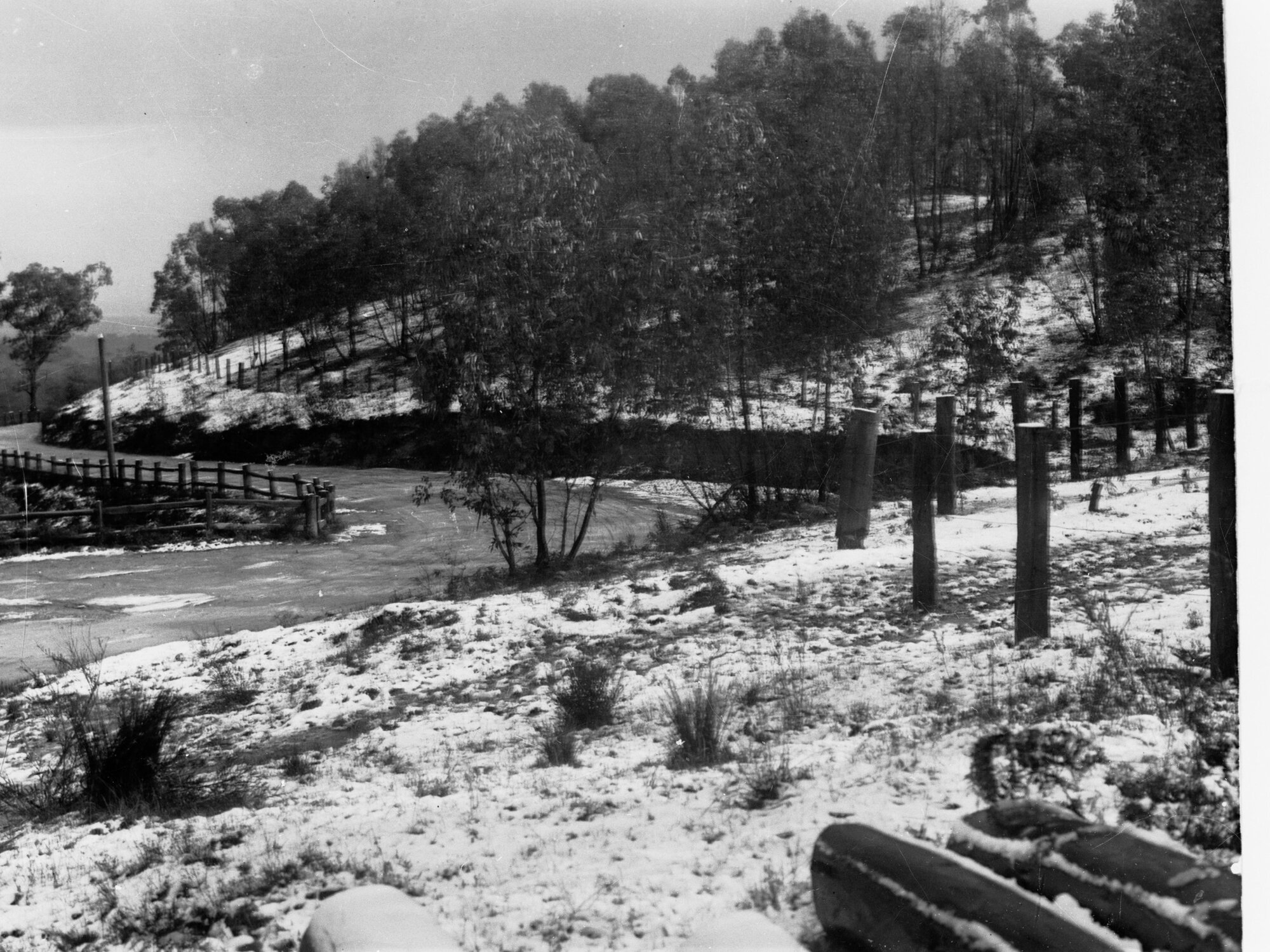 Mount Lofty Snow Scene