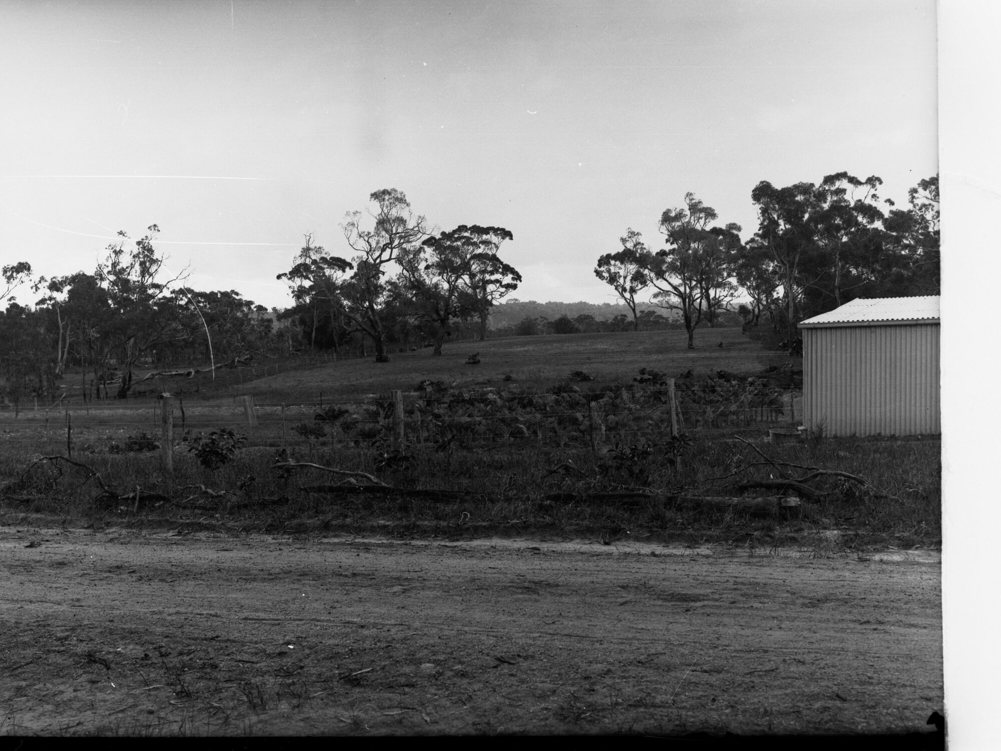Echunga Poultry Settlement