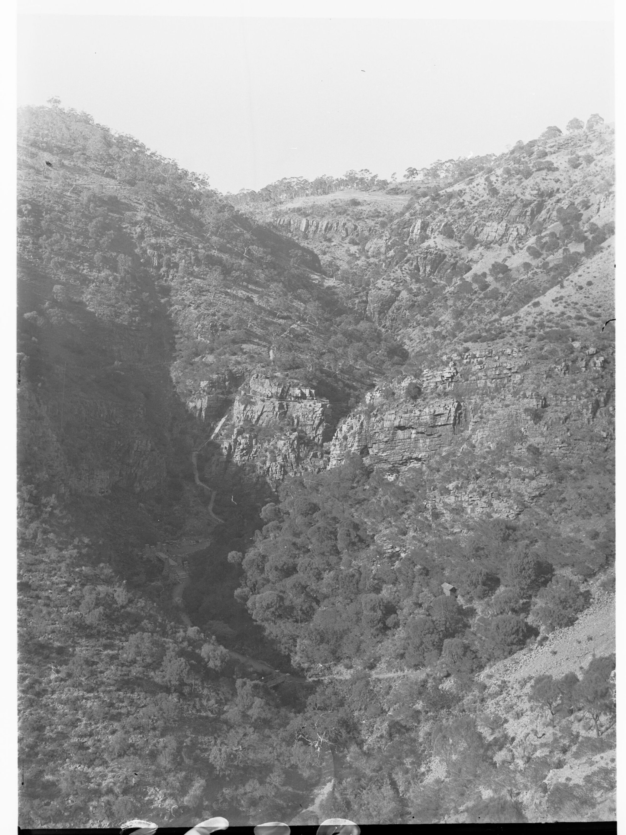 Morialta Reserve