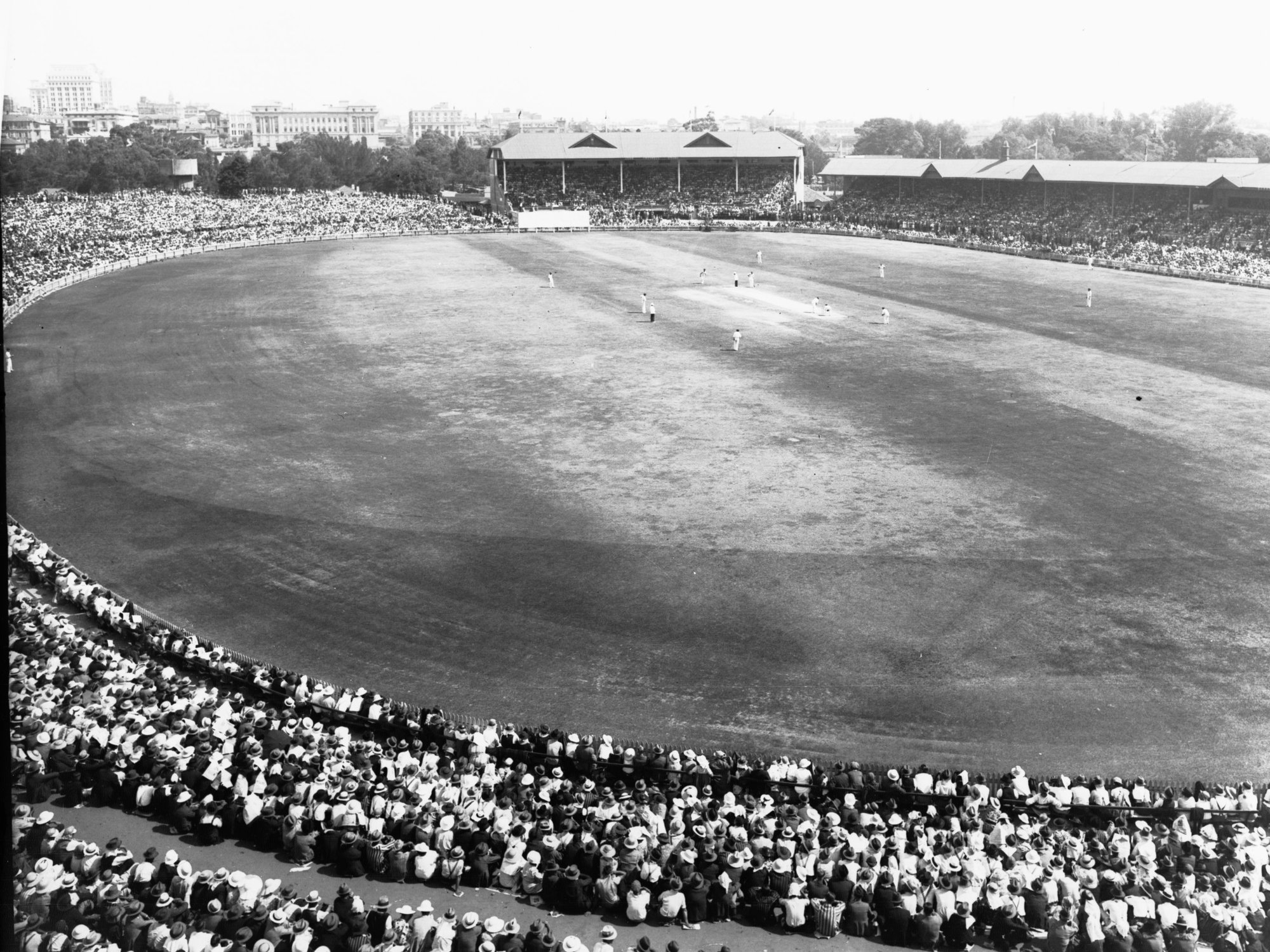 Cricket at Adelaide Oval