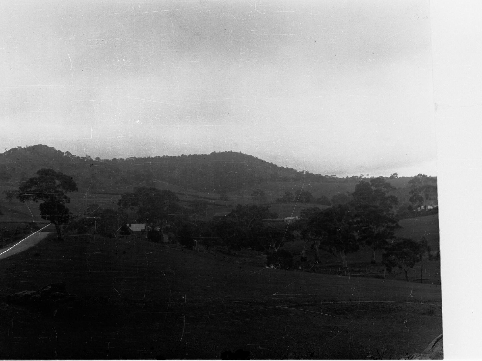 Rural Scene - Mount Barker