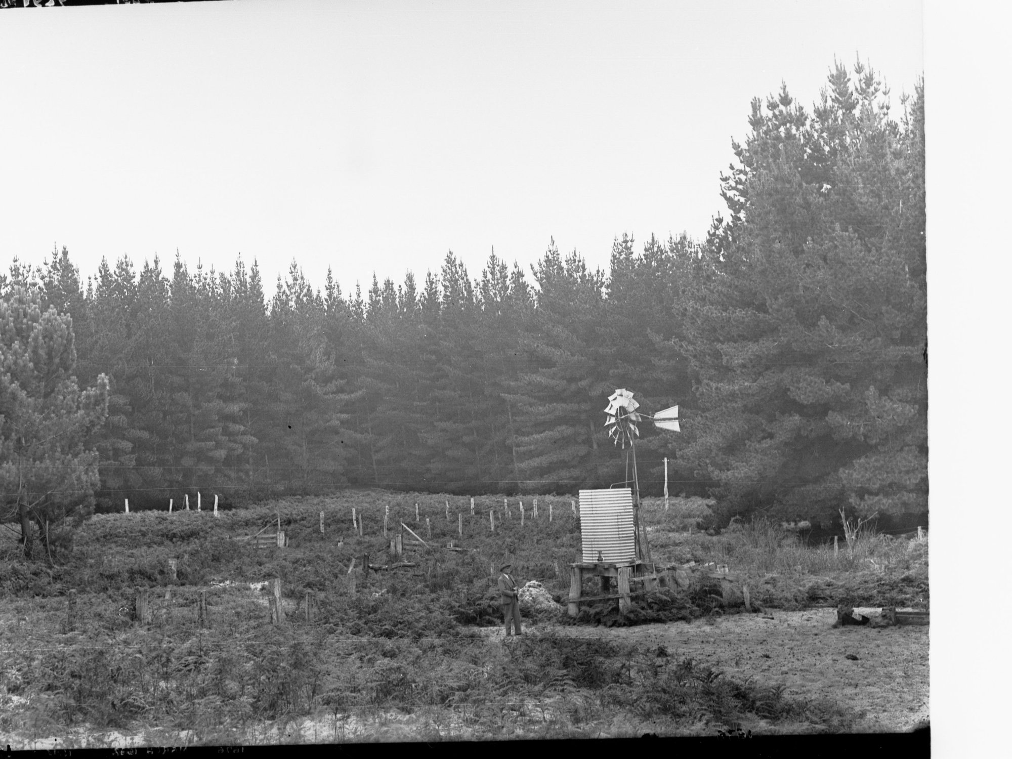 MISSING FROM ACCESSION NUMBER CATALOGUE|Mount Burr Forest