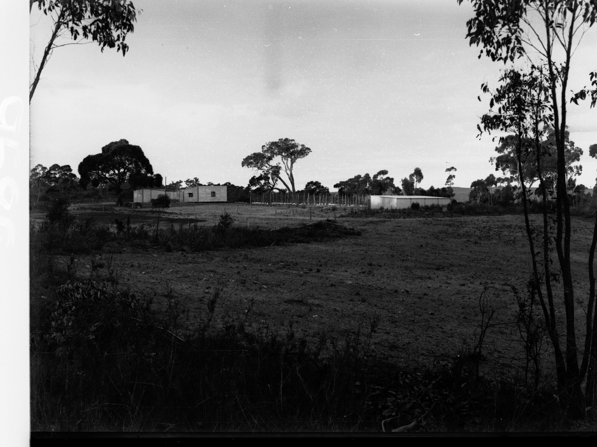Bridgewater Poultry Settlement