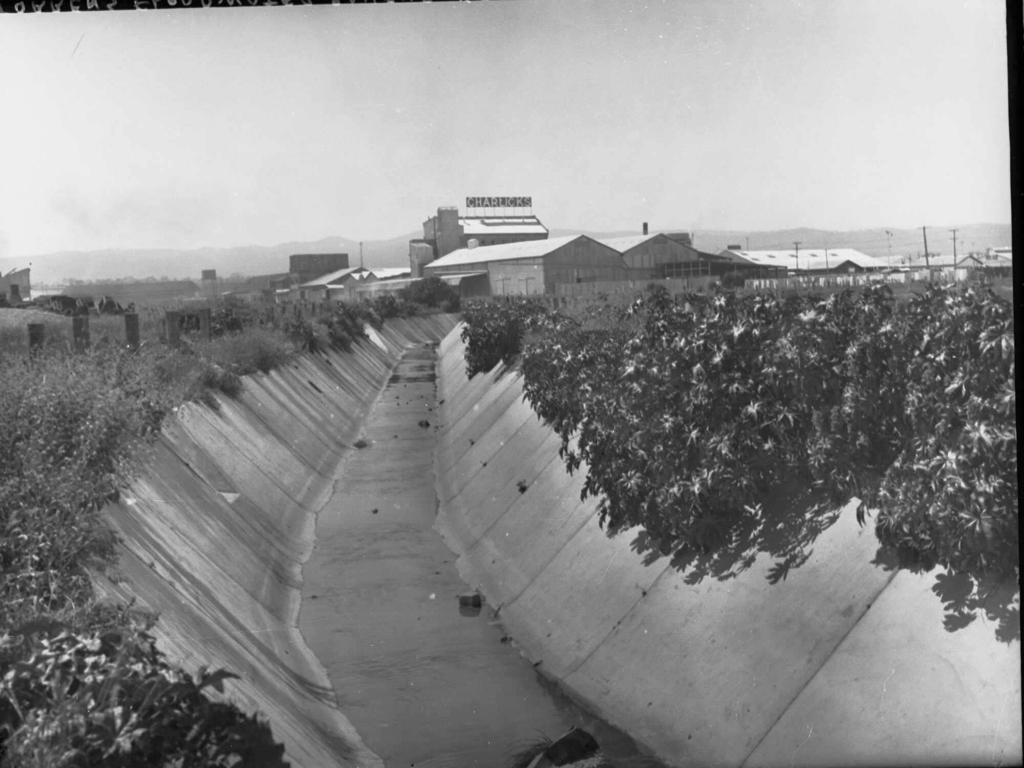 Torrens Floodwater Scheme at Keswick Creek