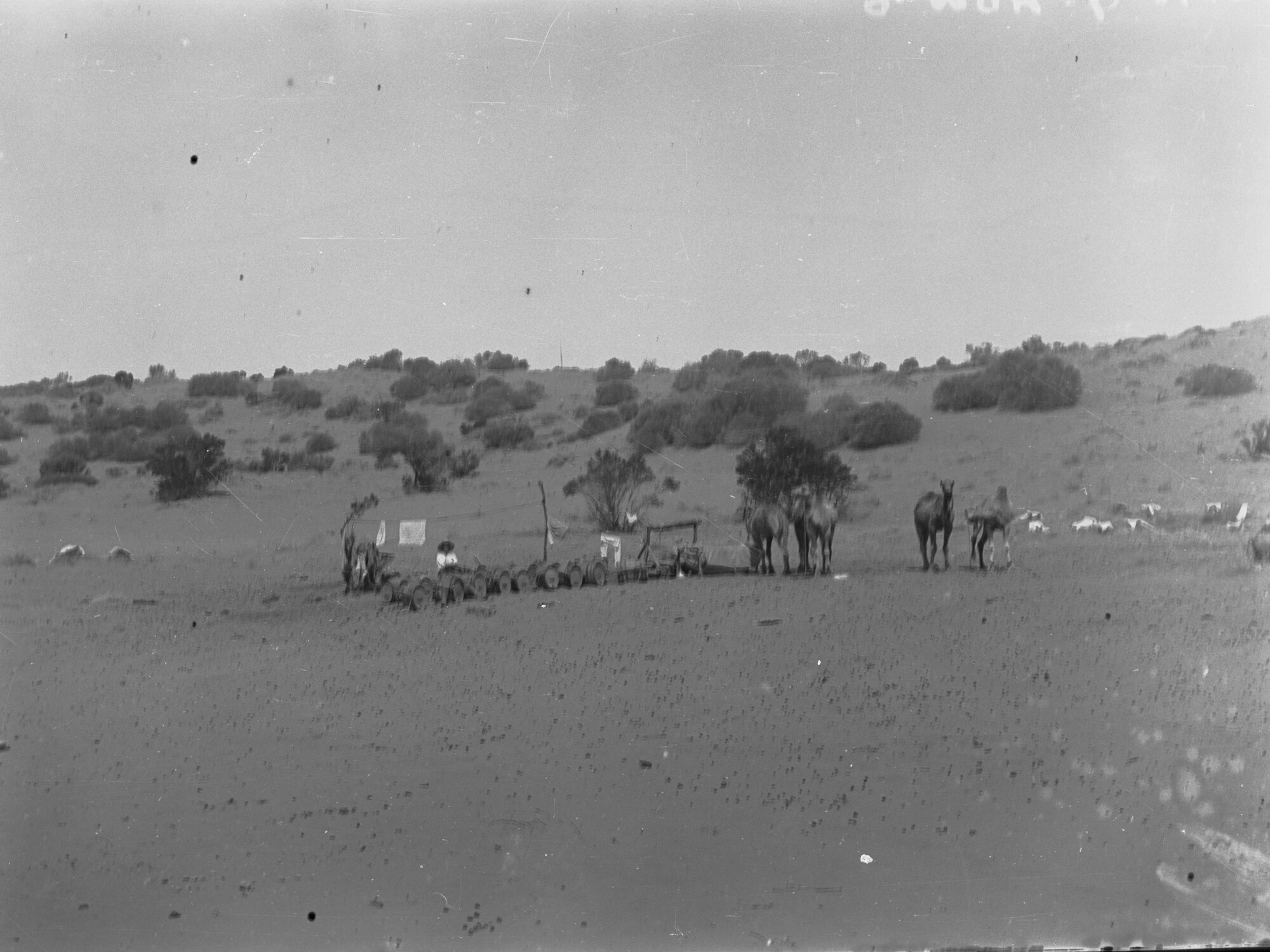 Ooldea Well,  East West Railway survey