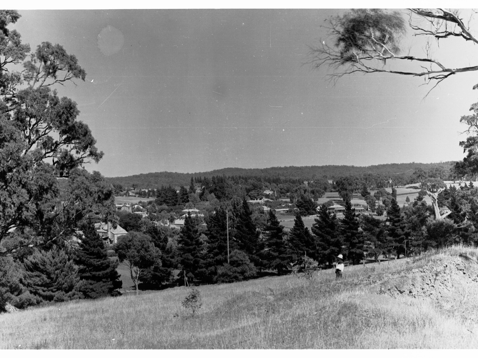 Mount Barker Viewed from a Hill