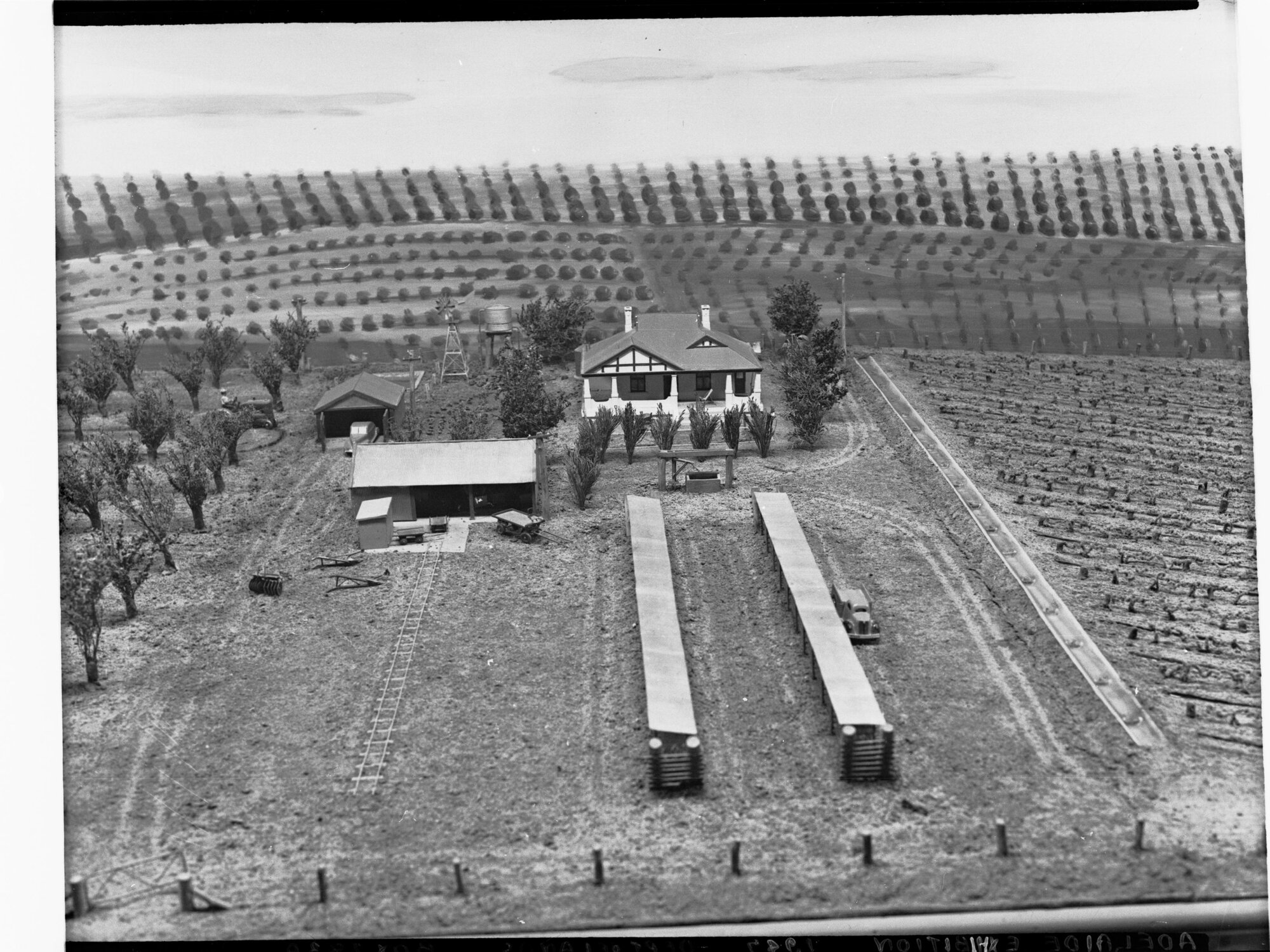 Adelaide Exhibition - Department of Lands Display - Irrigation Branch - model of a farm