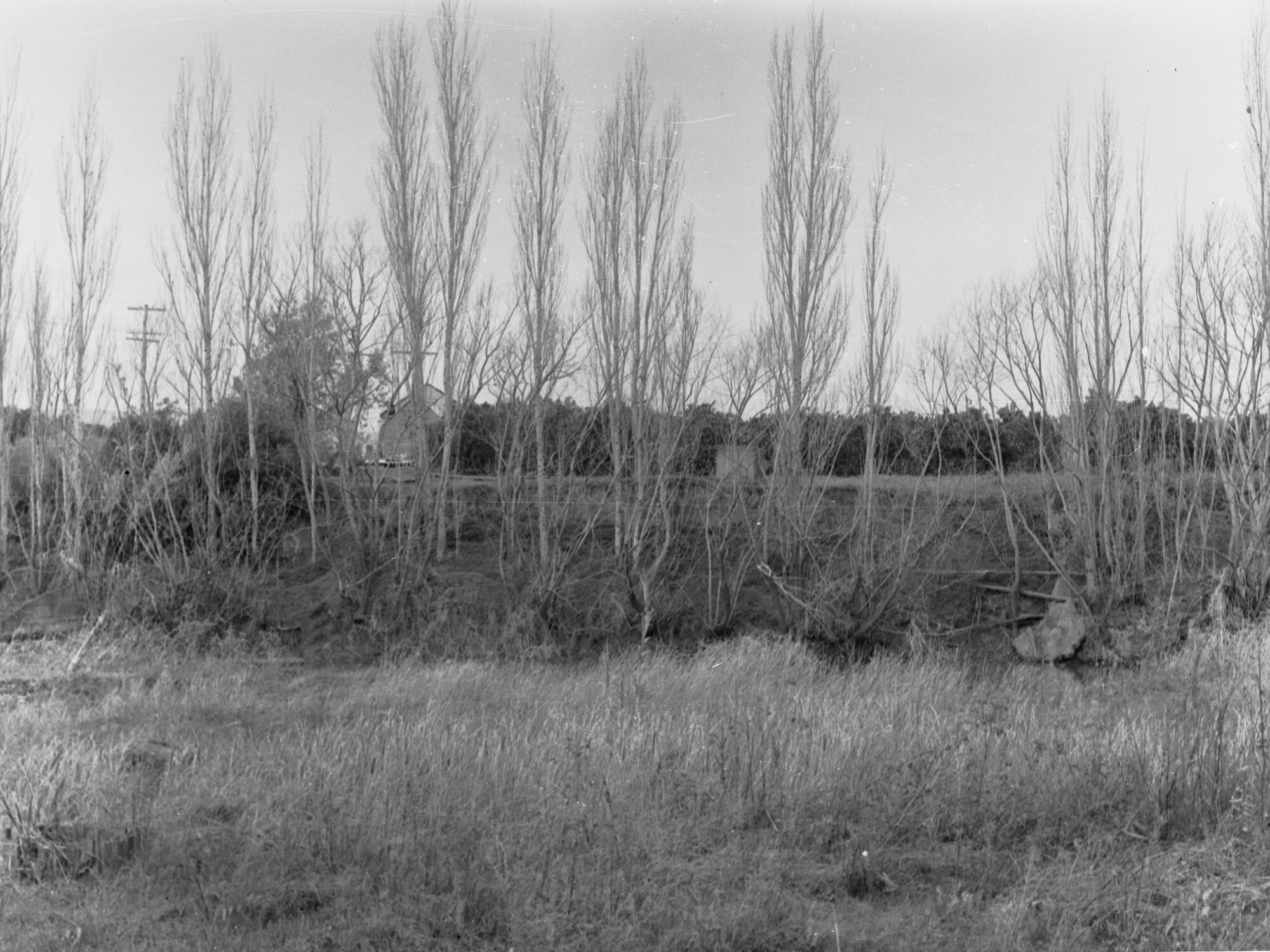 Soil Erosion, River Torrens