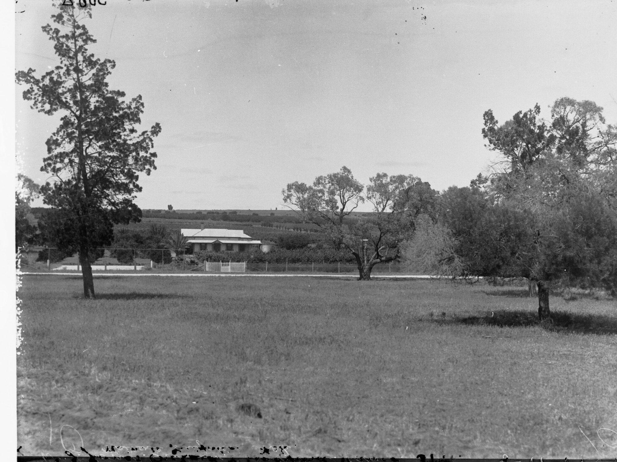 Farm House Near Waikerie
