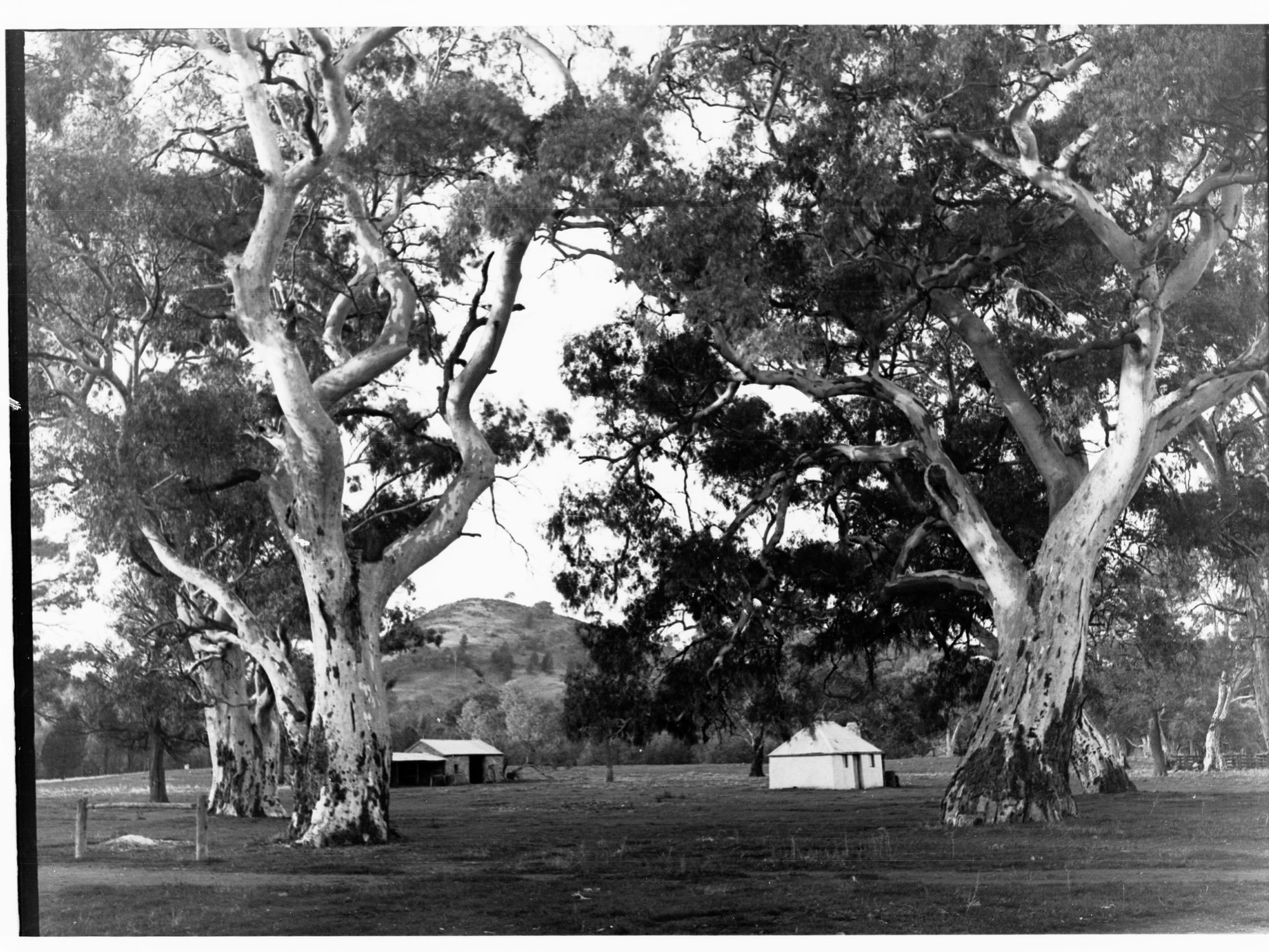 Wilpena Homestead - Flinders Ranges