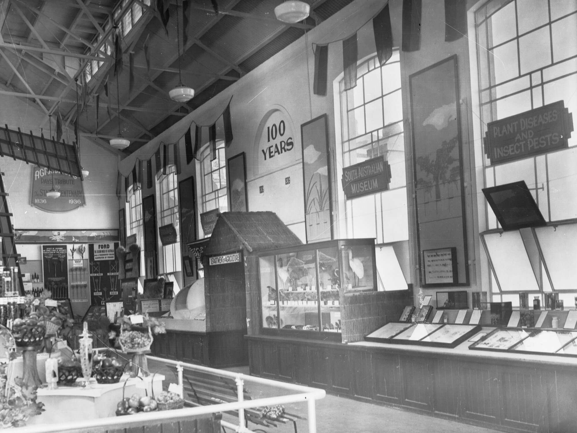 South Australian Museum showing plant diseases and insect pests for Department of Agriculture